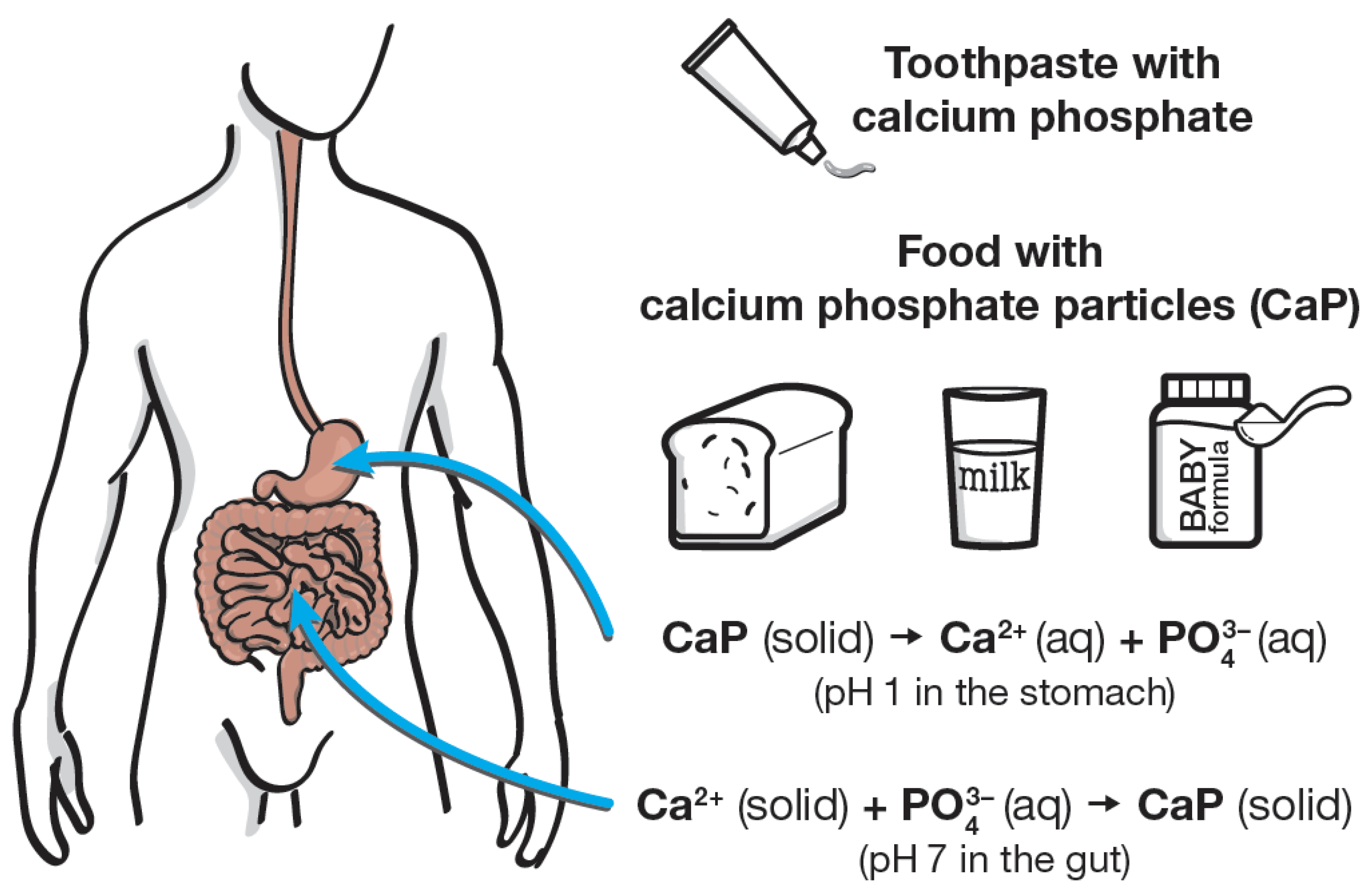 Nanomaterials 12 04075 g002