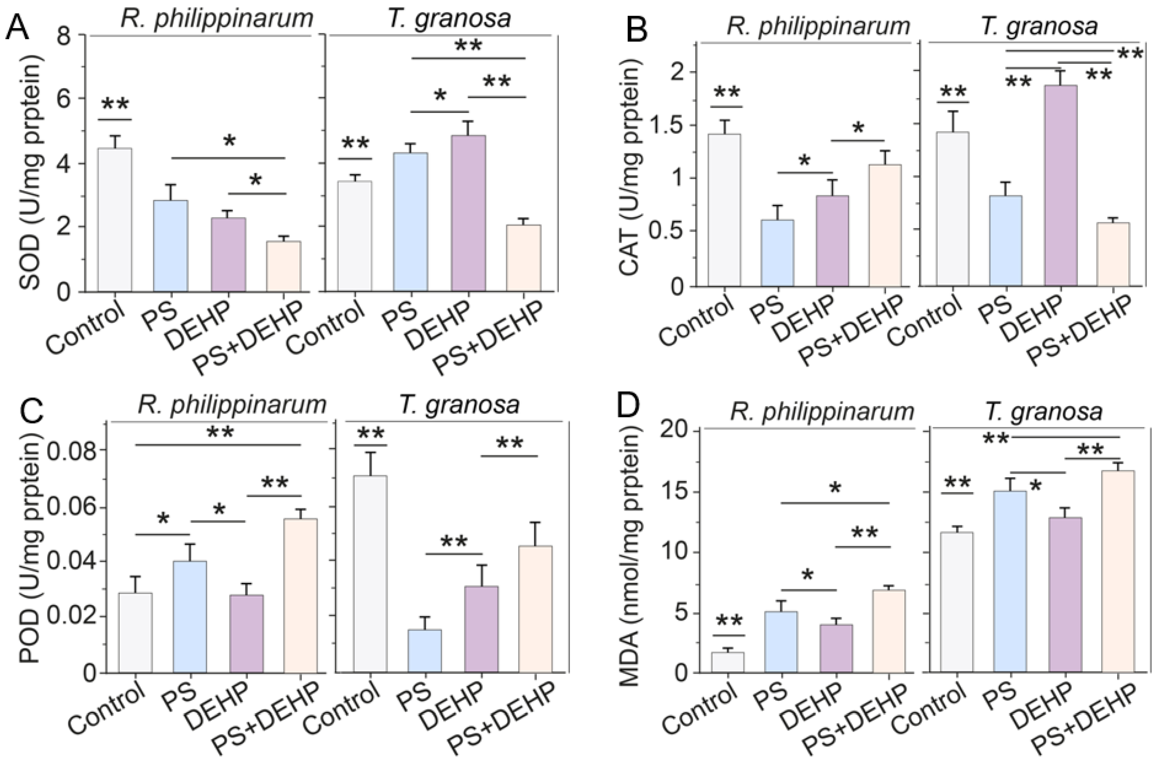 Nanomaterials 12 04077 g003 Nanomaterials 12 04077 g003