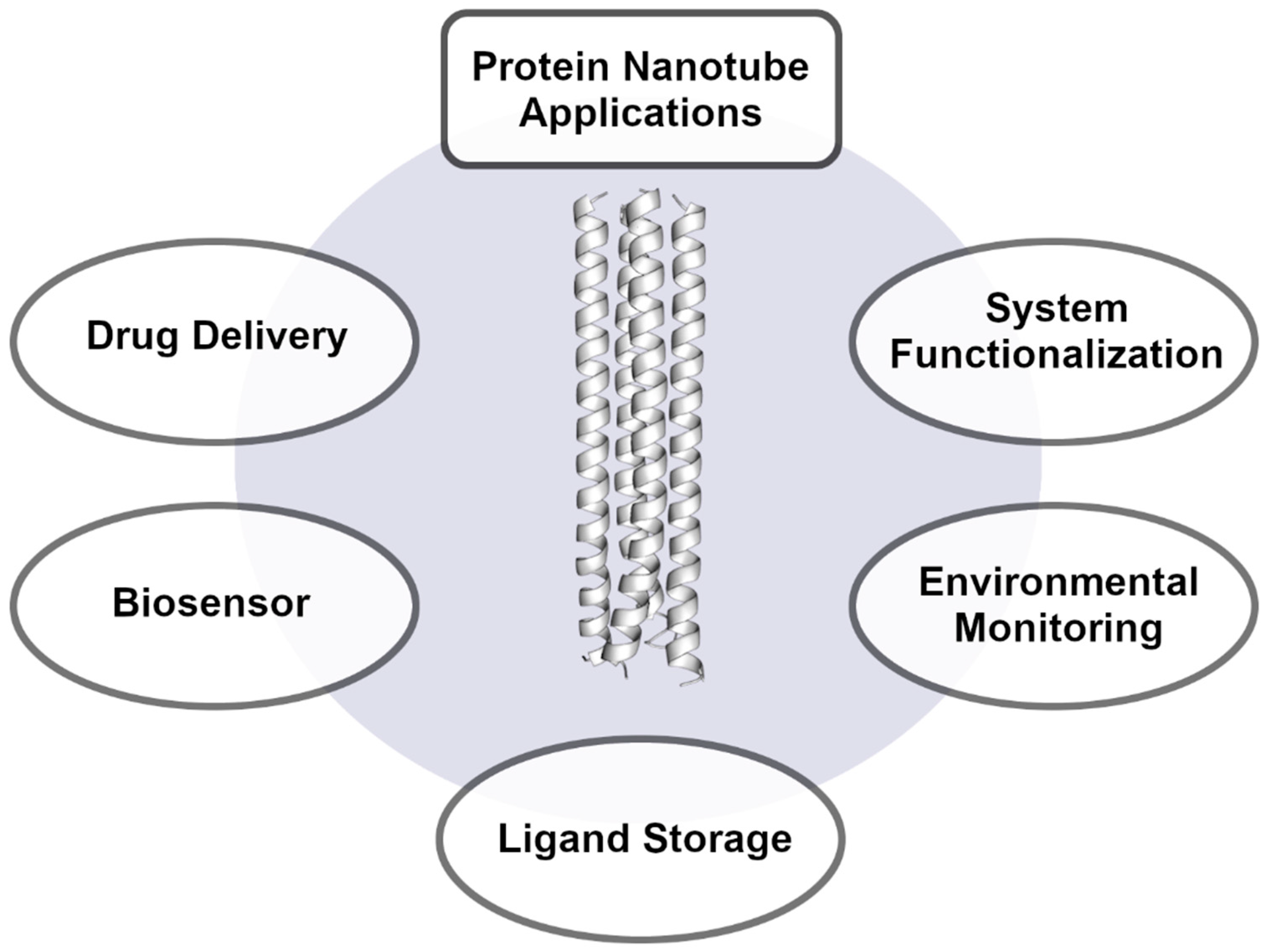 Nanomaterials 12 04080 g003 550
