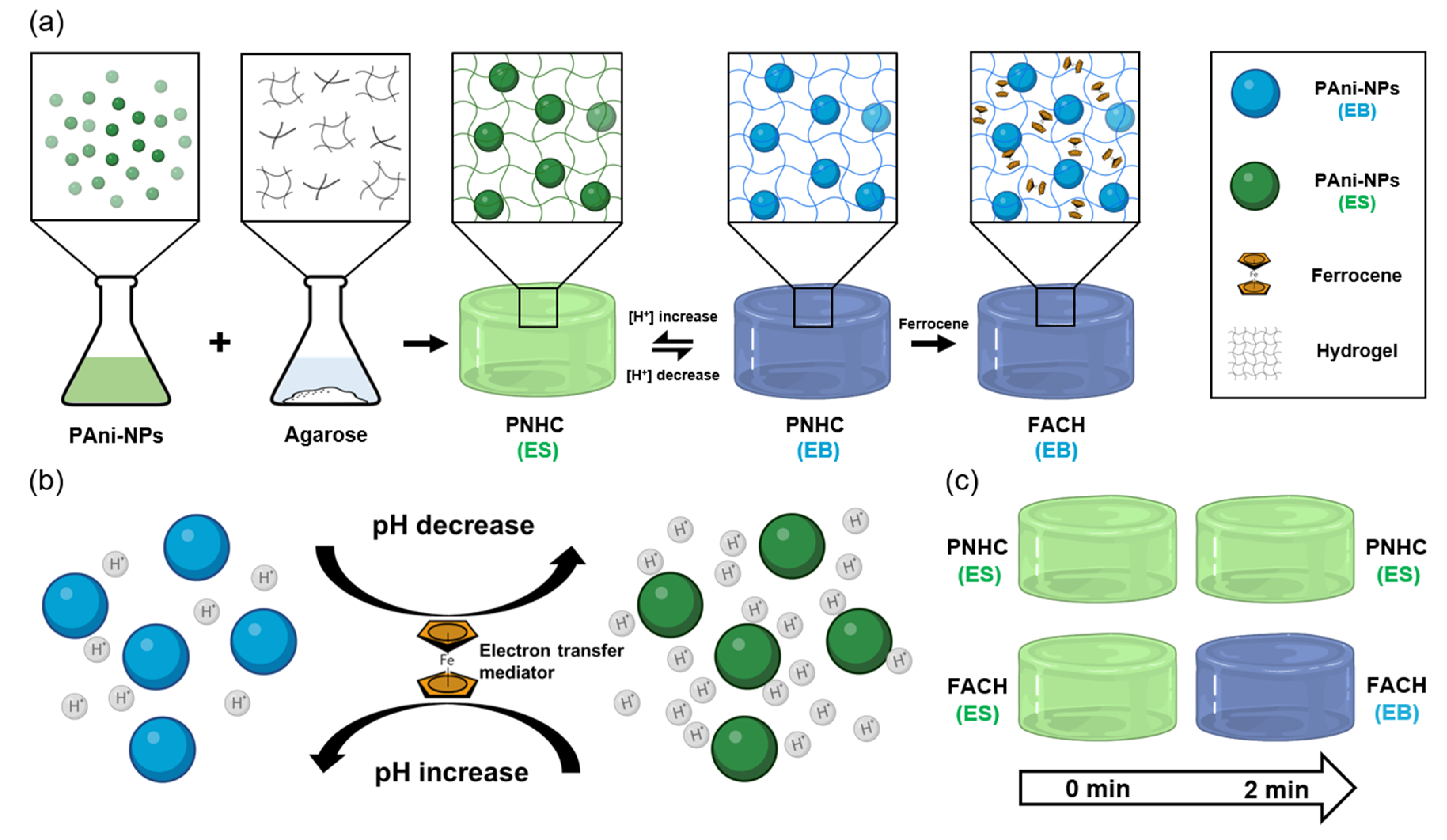 Nanomaterials 12 04081 g001
