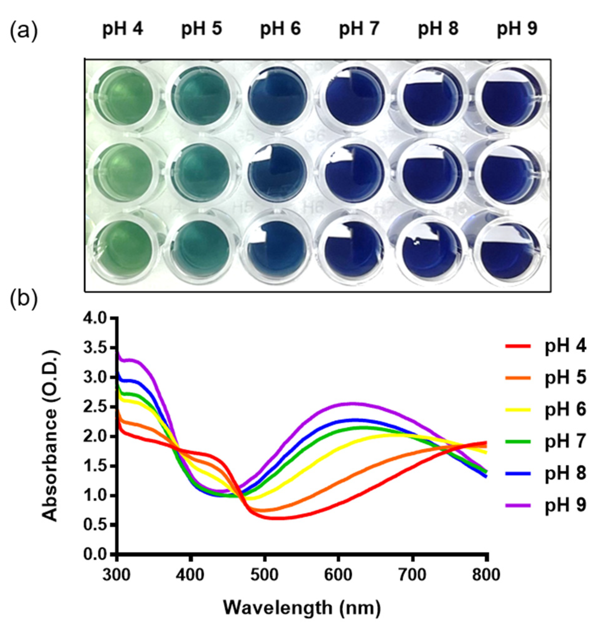 Nanomaterials 12 04081 g002