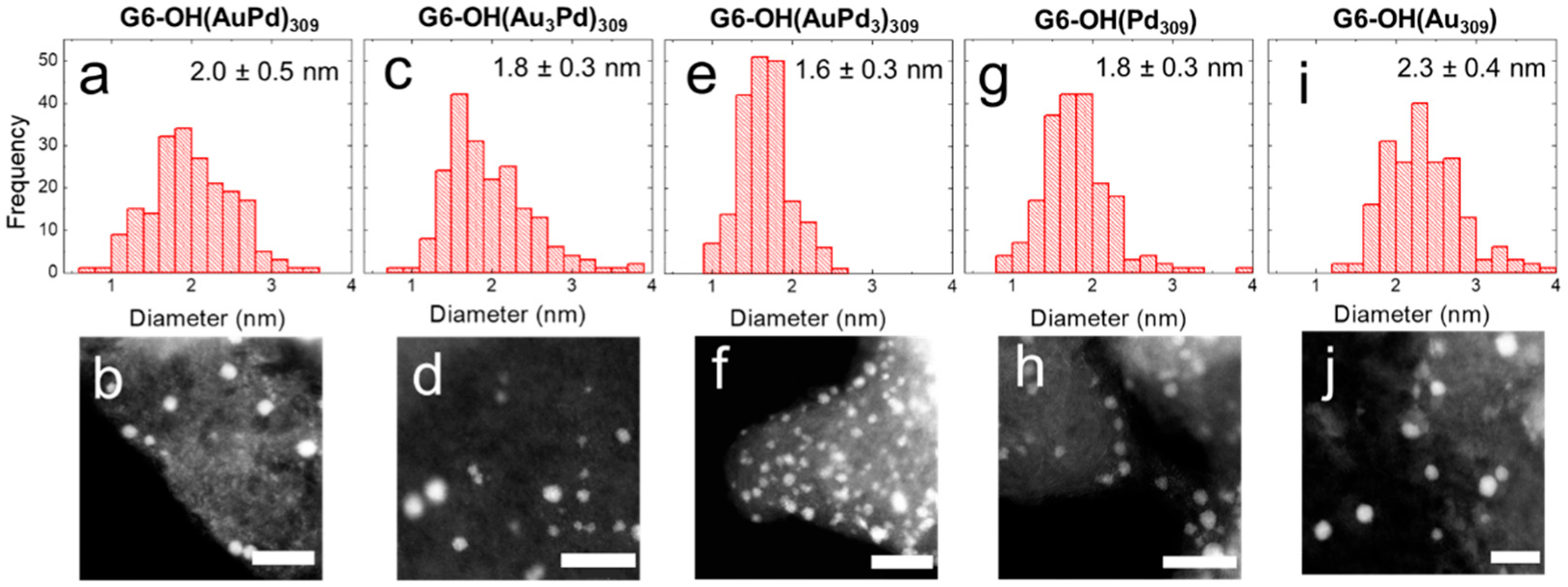 Nanomaterials 12 04093 g001