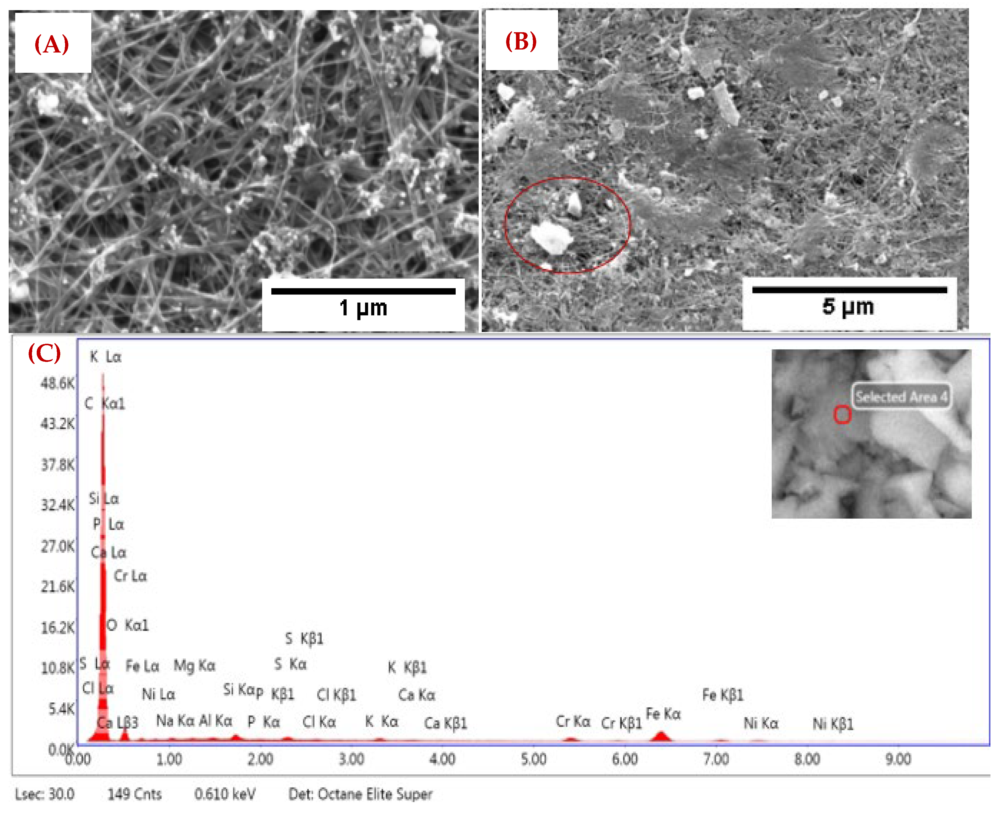 Nanomaterials 12 04094 g004