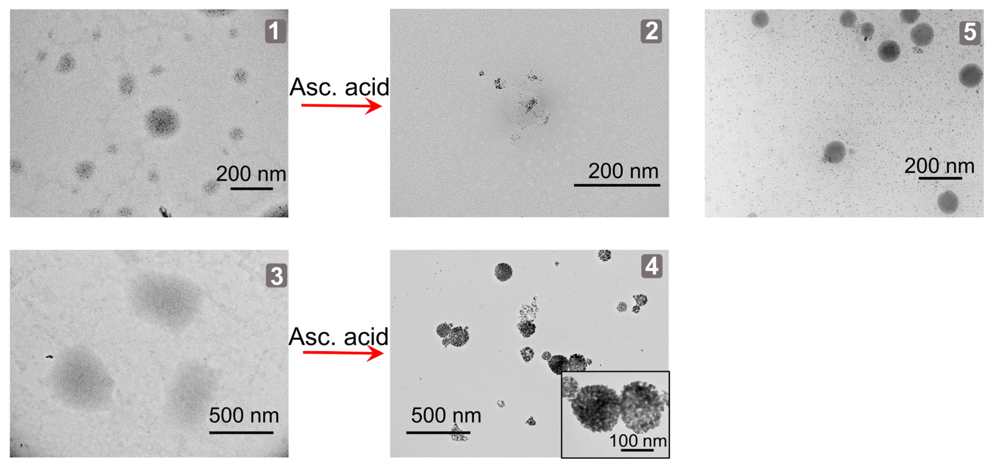 Nanomaterials 12 04100 g003
