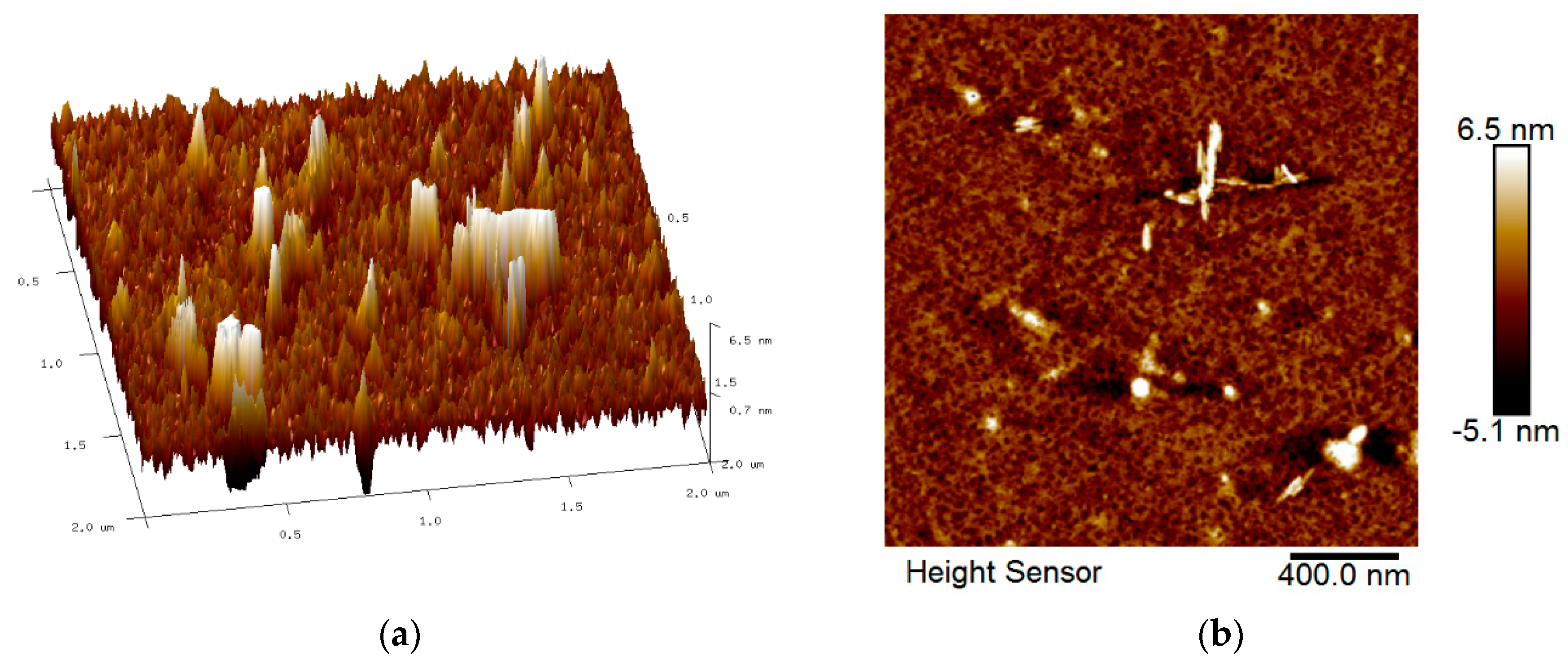 Nanomaterials 12 04105 g008