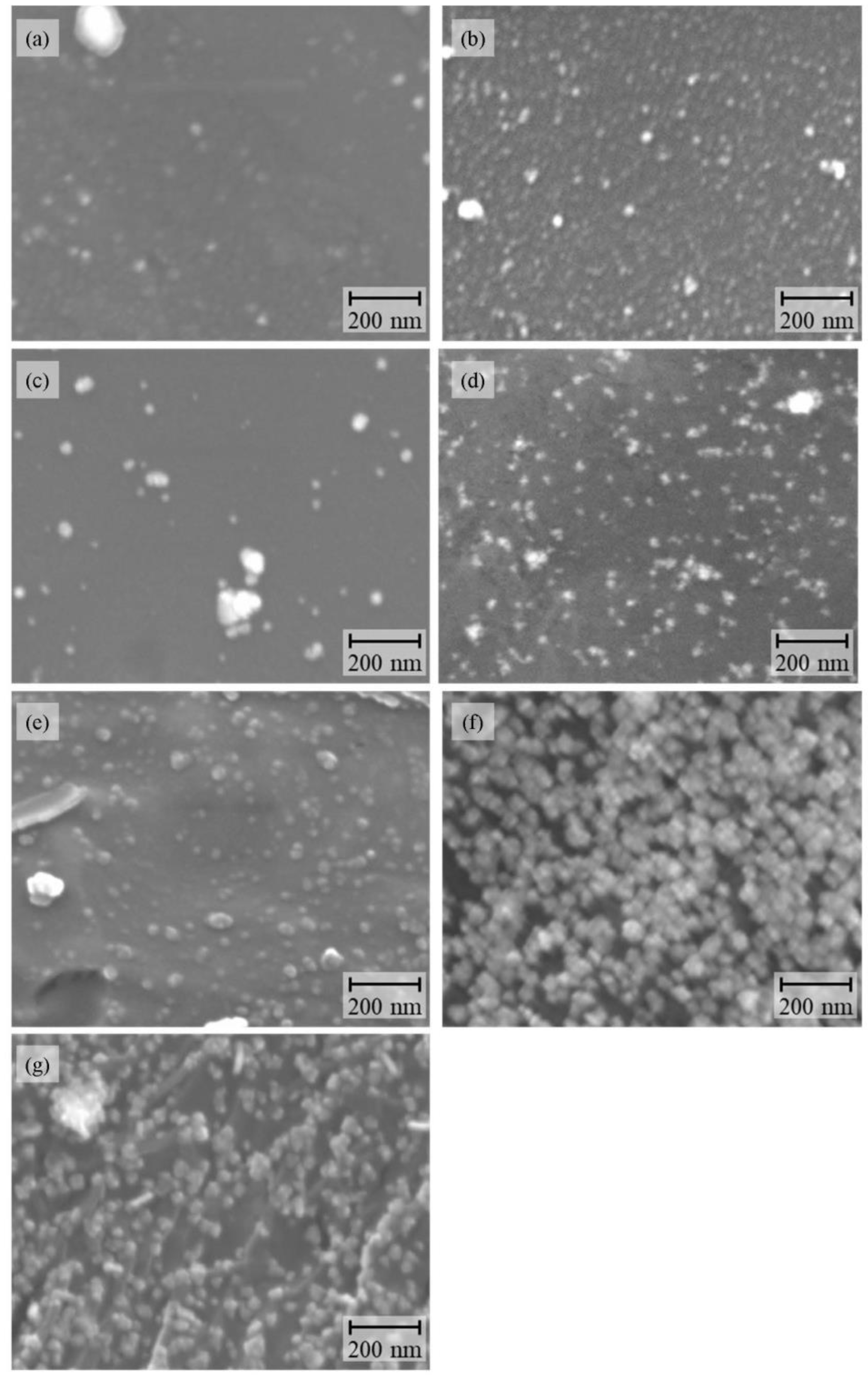 Nanomaterials 12 04106 g001