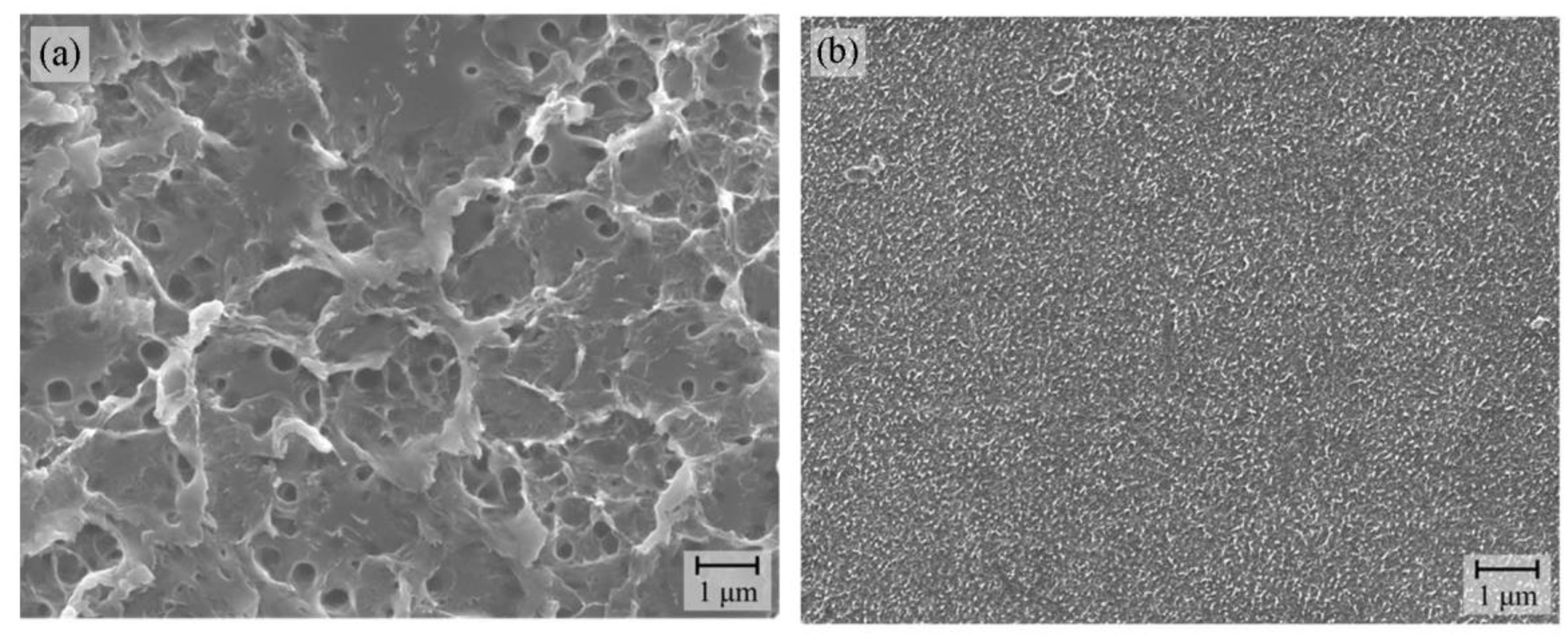 Nanomaterials 12 04106 g006