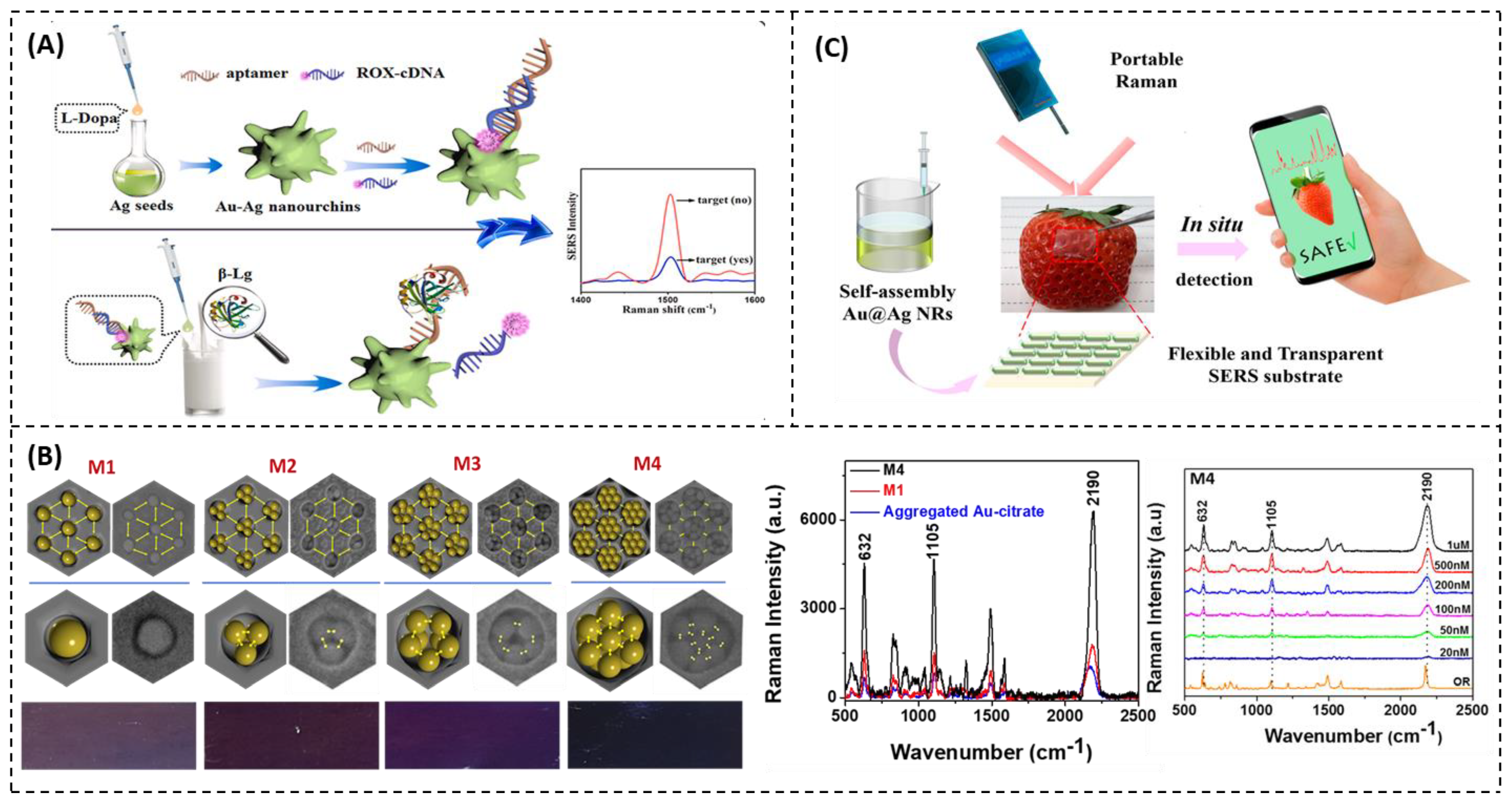 Nanomaterials 12 04116 g004 Nanomaterials 12 04116 g004