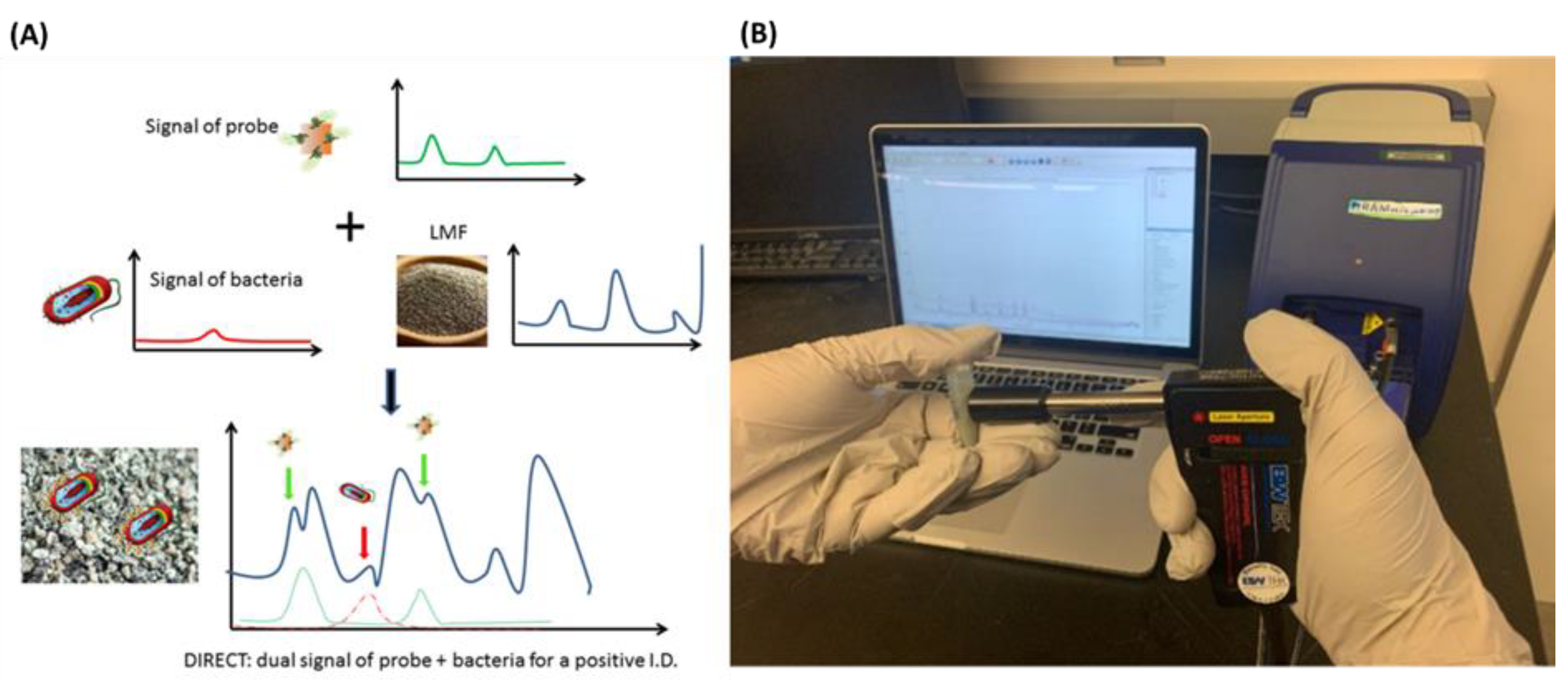Nanomaterials 12 04116 g005 Nanomaterials 12 04116 g005