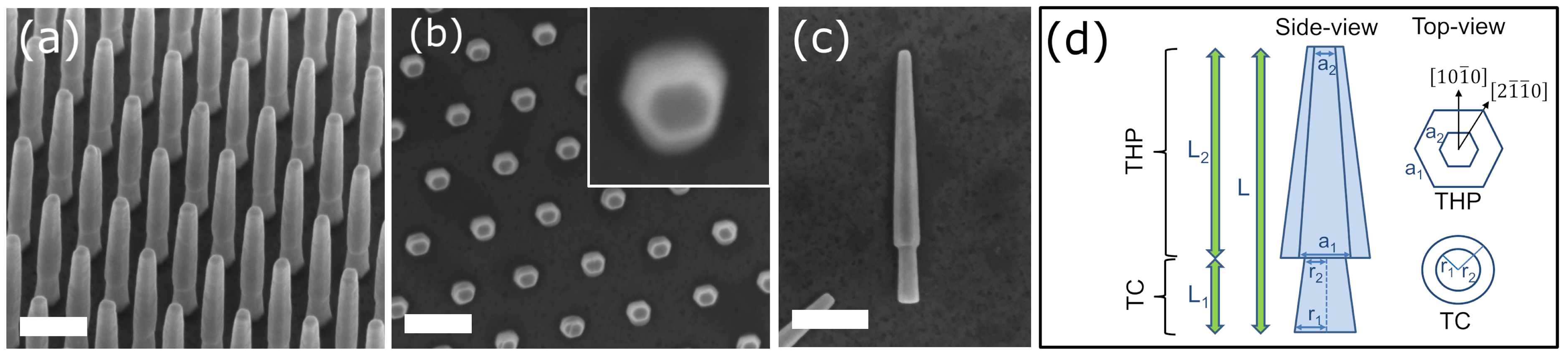 Nanomaterials 12 04120 g003