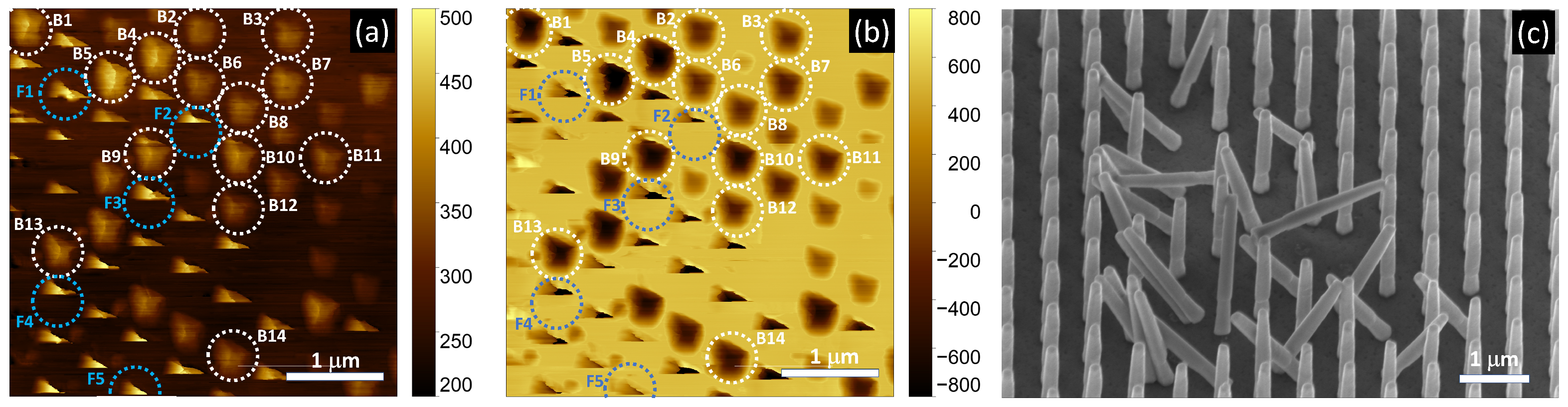 Nanomaterials 12 04120 g005