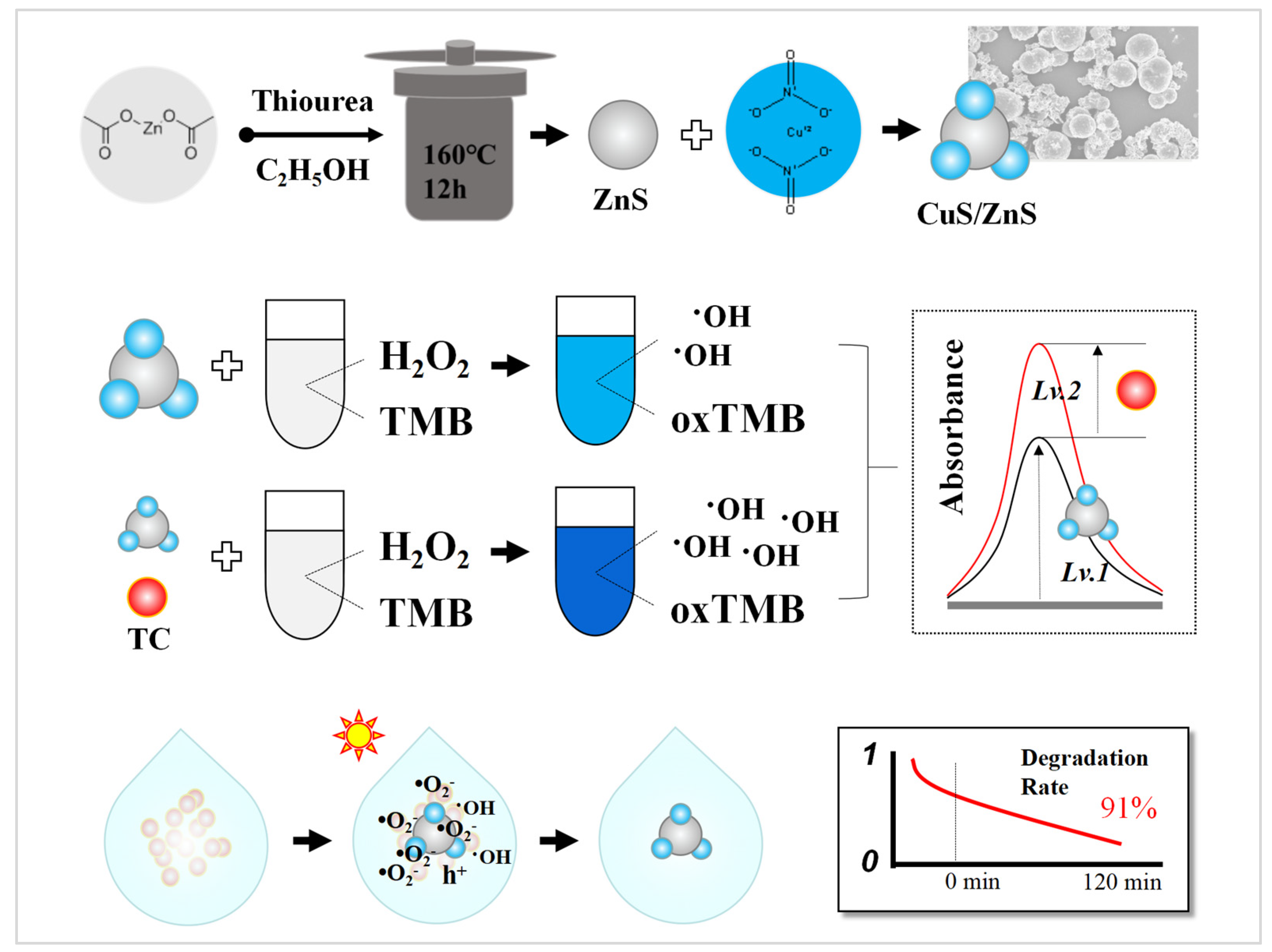 Nanomaterials 12 04123 sch001 Nanomaterials 12 04123 sch001