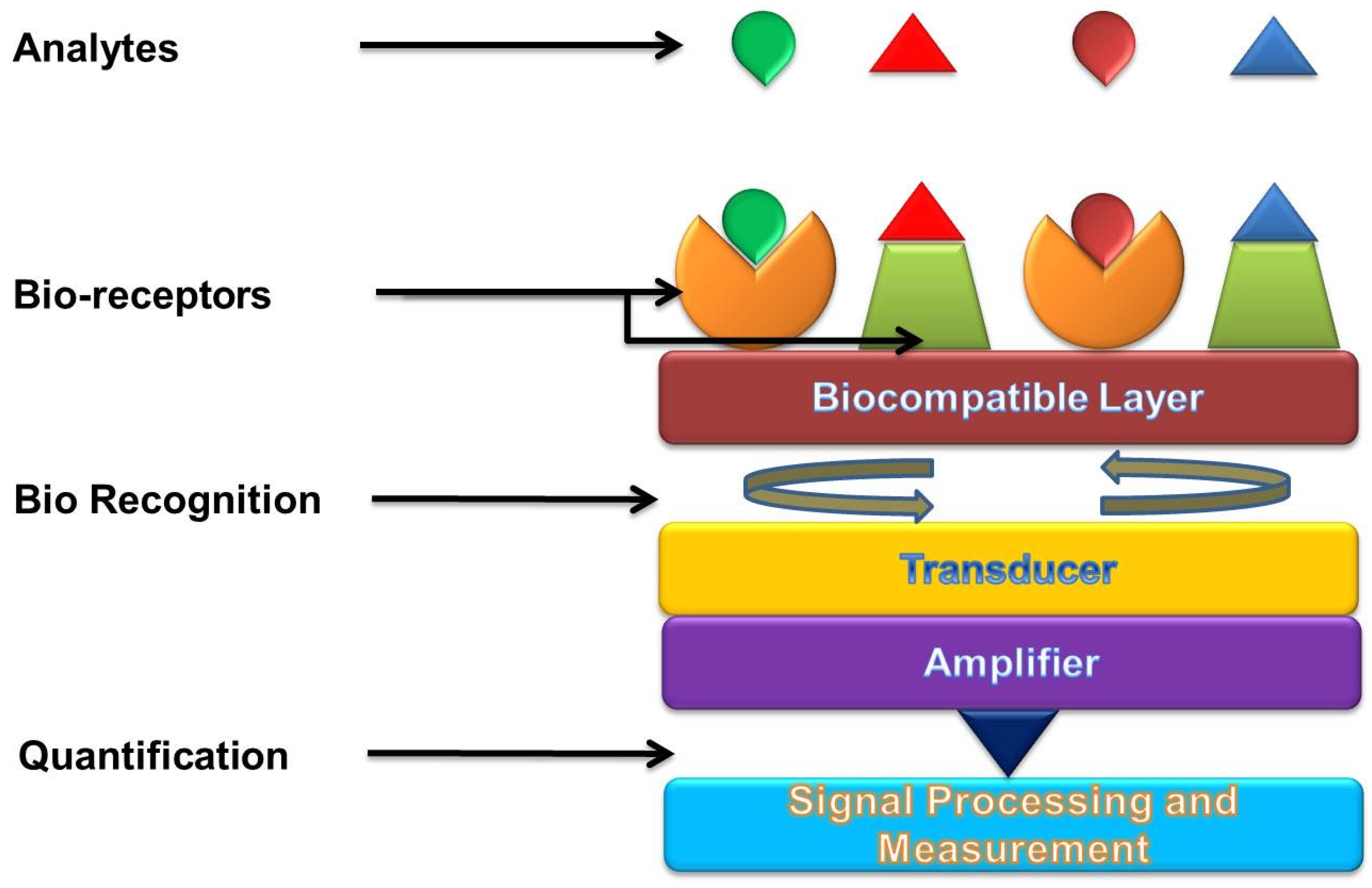 Nanomaterials 12 04132 g002 Nanomaterials 12 04132 g002
