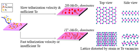 Phase-Controllable Chemical Vapor Deposition Synthesis of Atomically ...