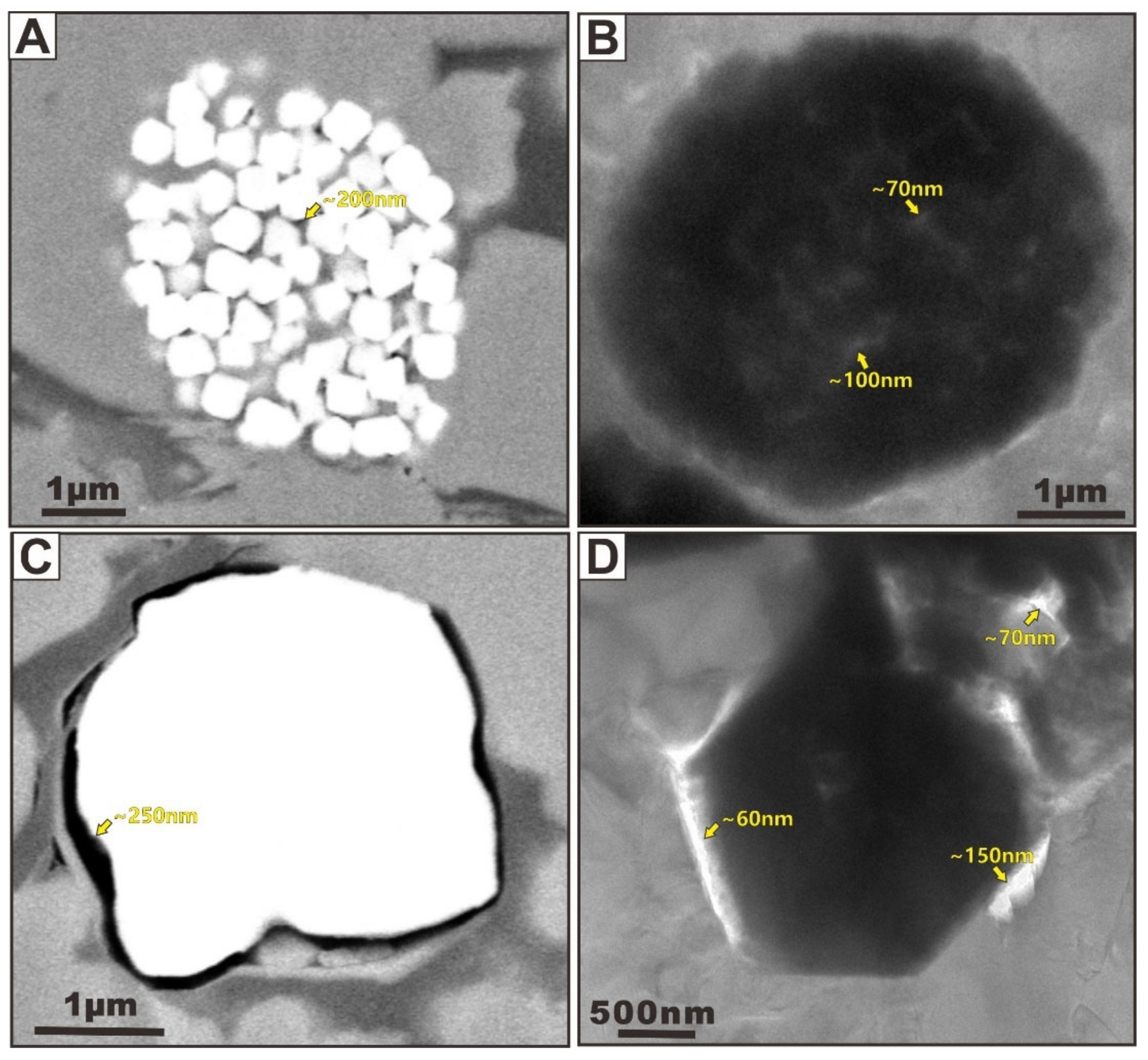 Nanomaterials 12 04135 g005