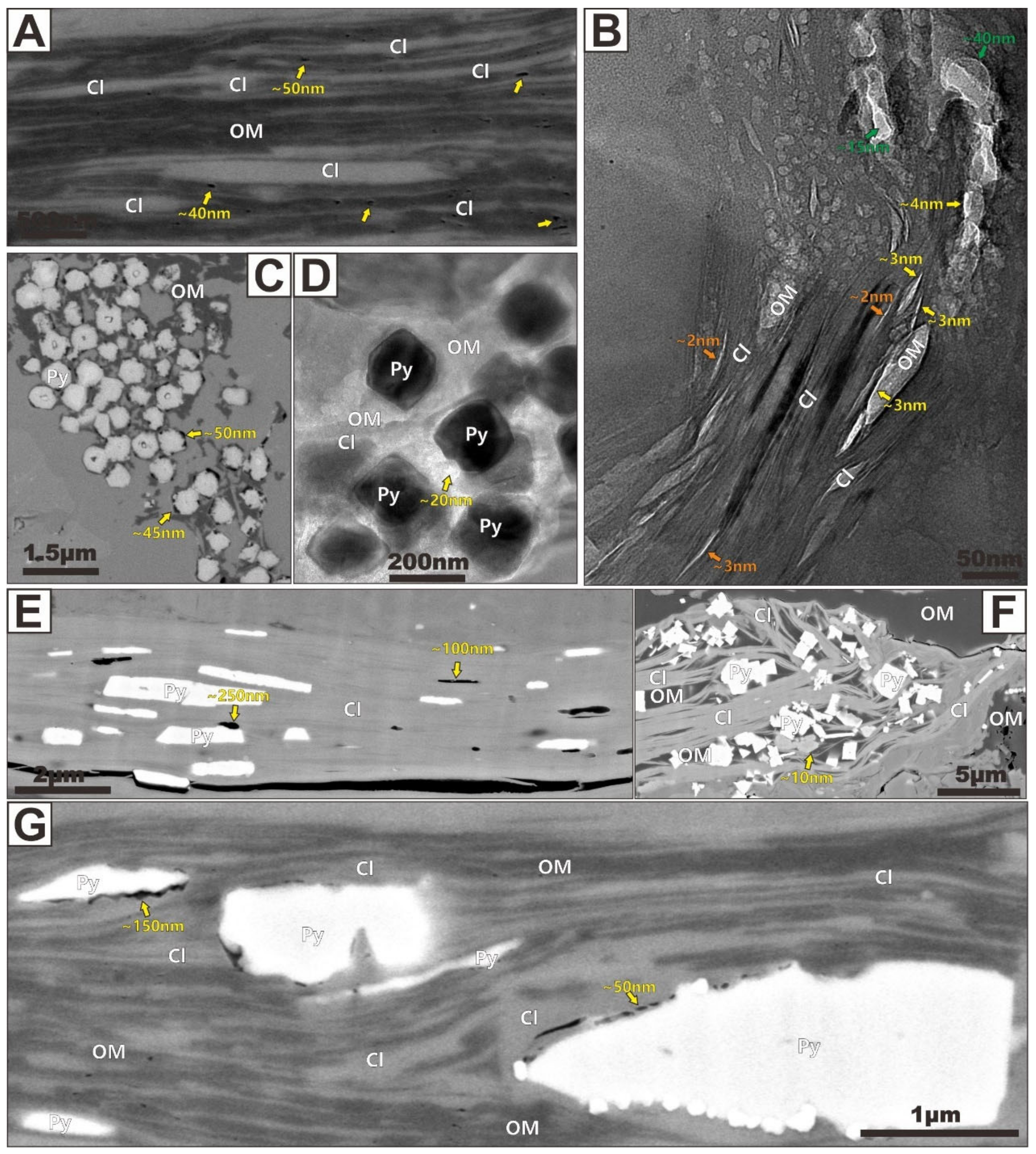 Nanomaterials 12 04135 g007