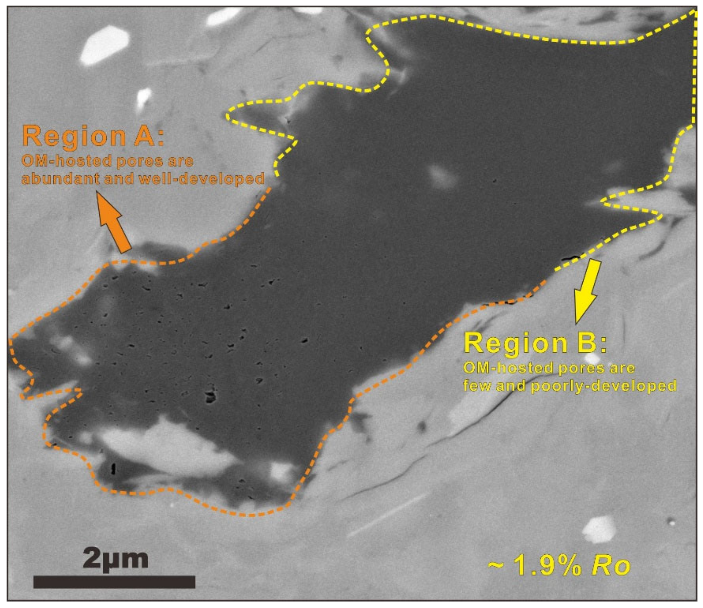 Nanomaterials 12 04135 g012