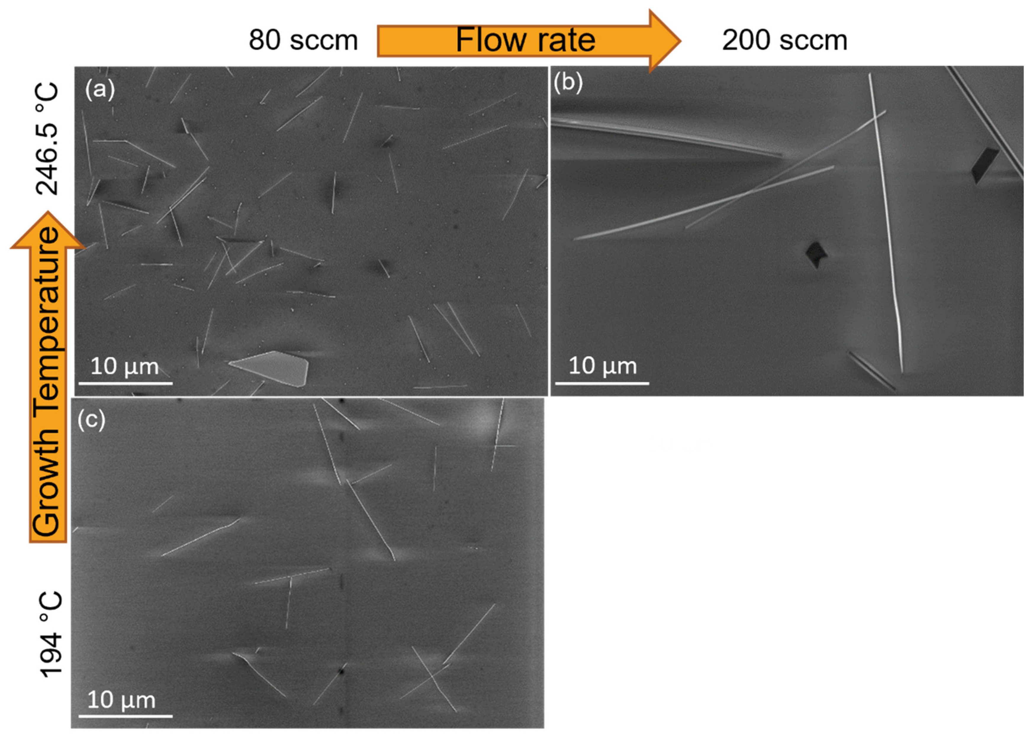 Nanomaterials 12 04137 g002