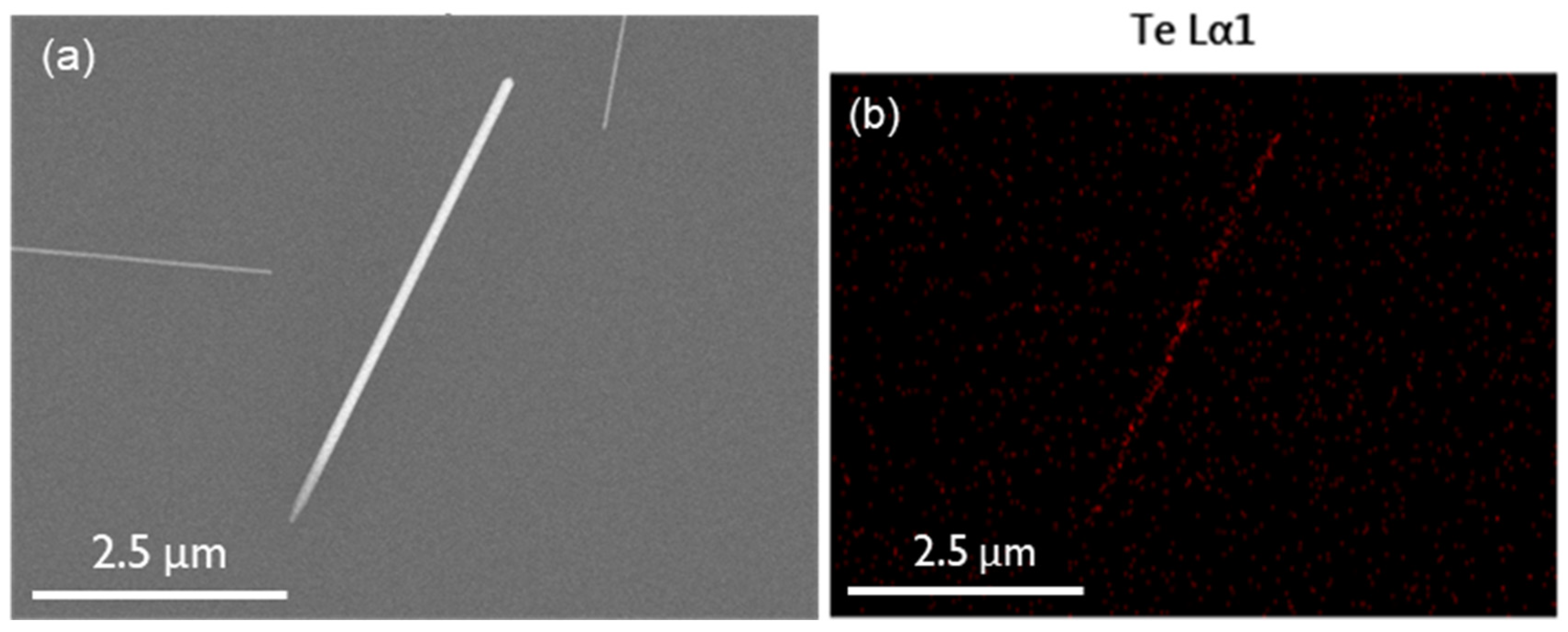 Controlled Synthesis of Tellurium Nanowires