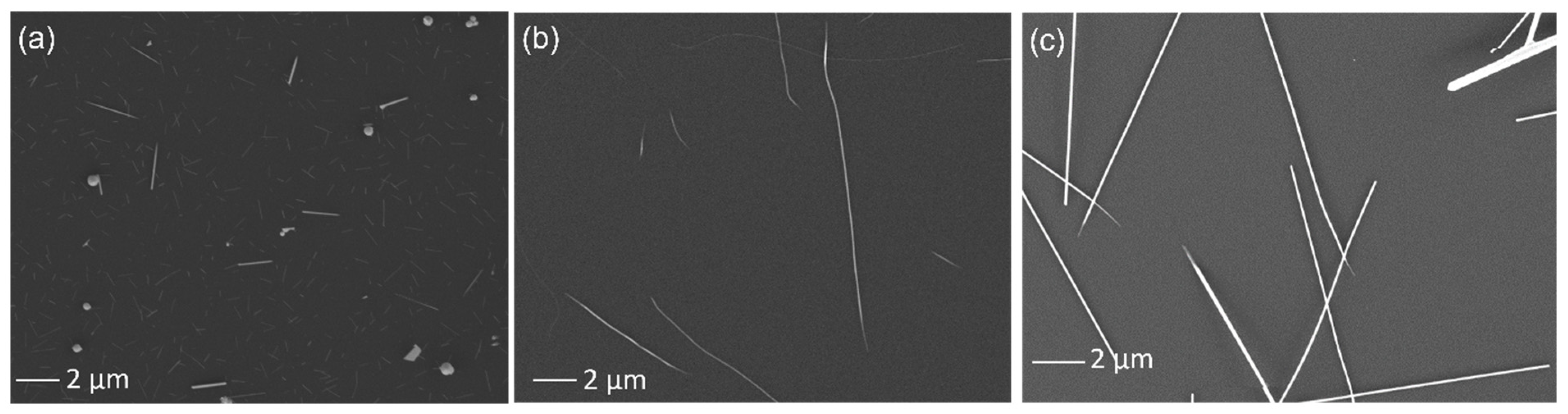 Nanomaterials 12 04137 g004