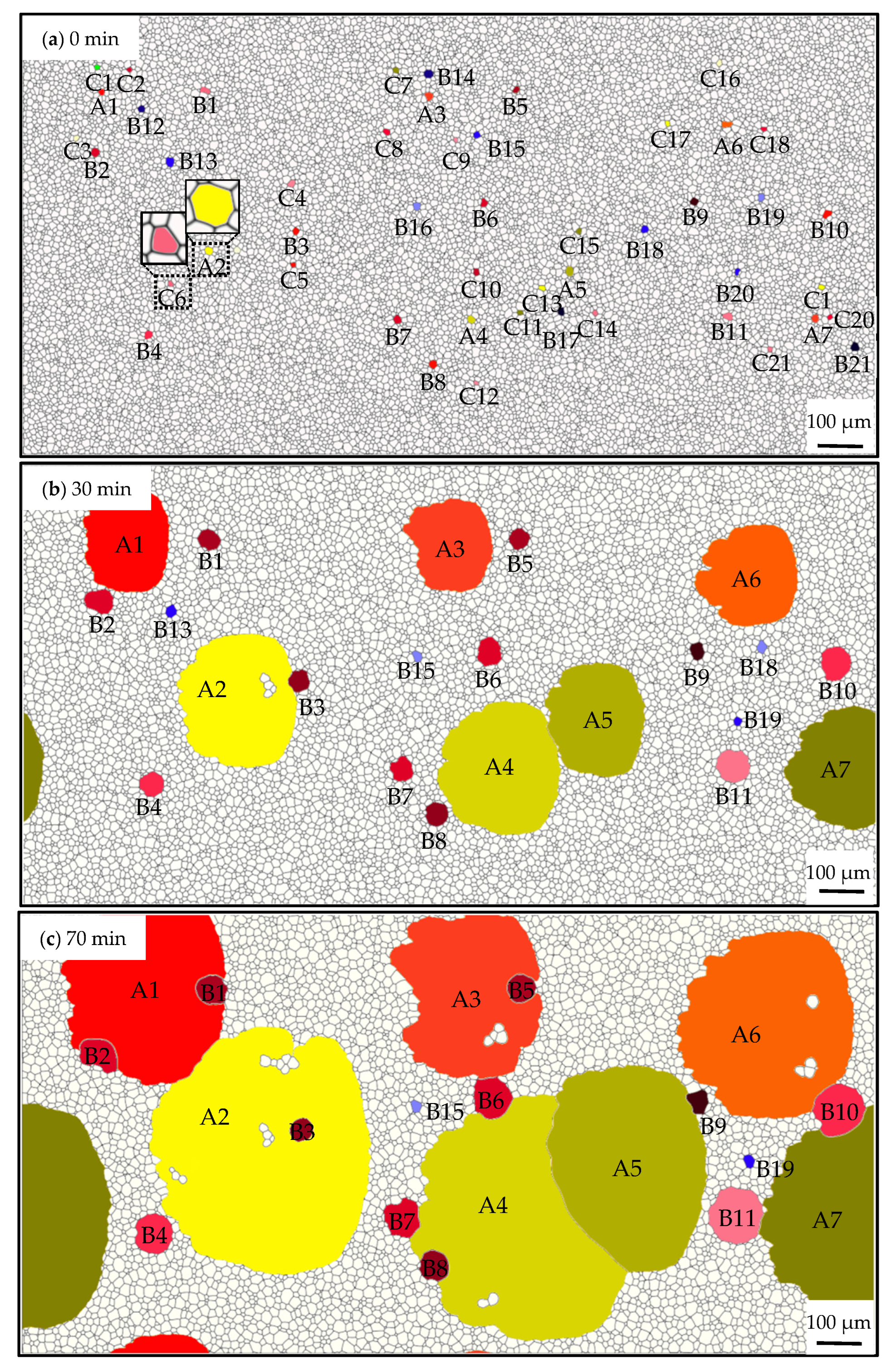 Nanomaterials 12 04148 g014a Nanomaterials 12 04148 g014a