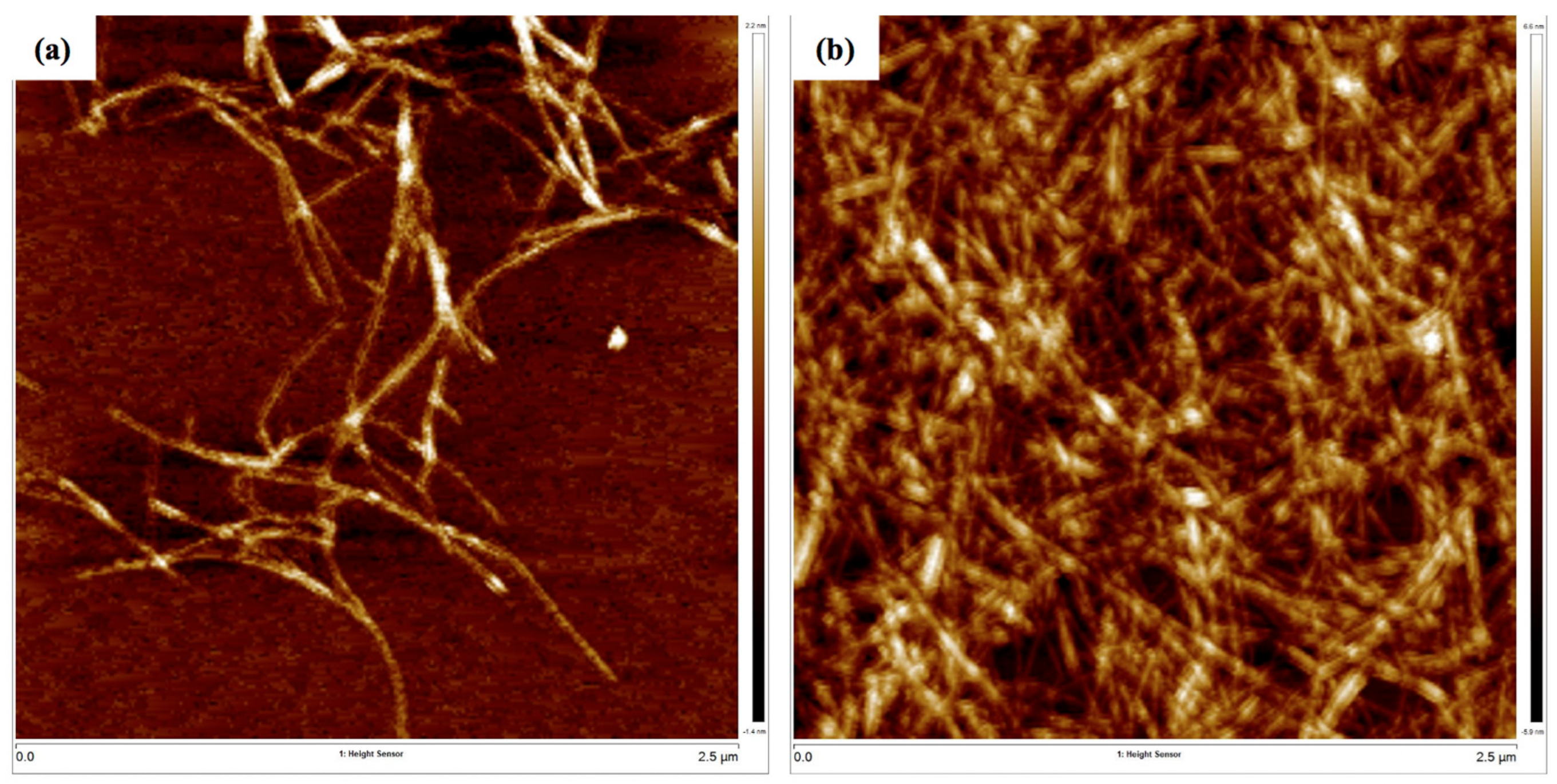 Nanomaterials 12 04156 g007 Nanomaterials 12 04156 g007