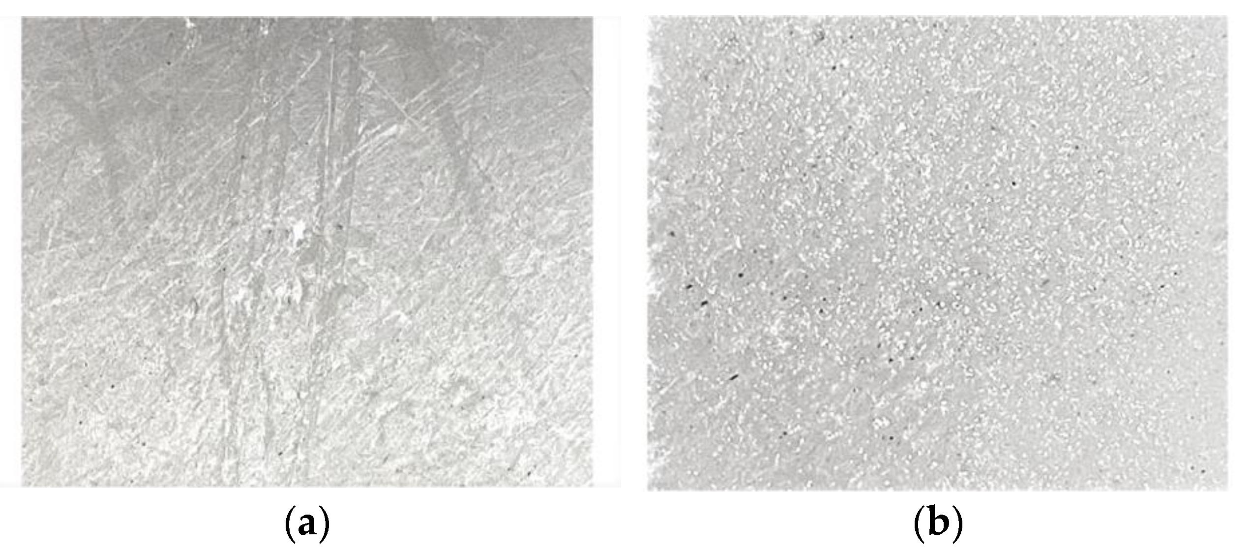 Nanomaterials 12 04158 g004 Nanomaterials 12 04158 g004