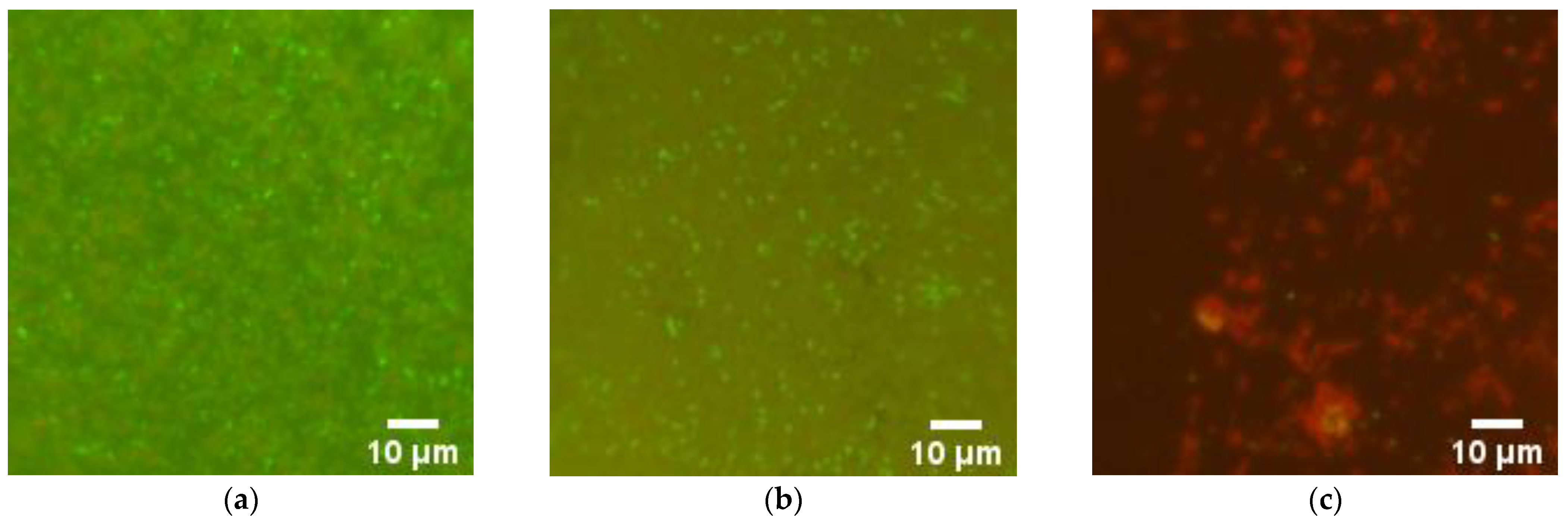 Nanomaterials 12 04158 g009 Nanomaterials 12 04158 g009