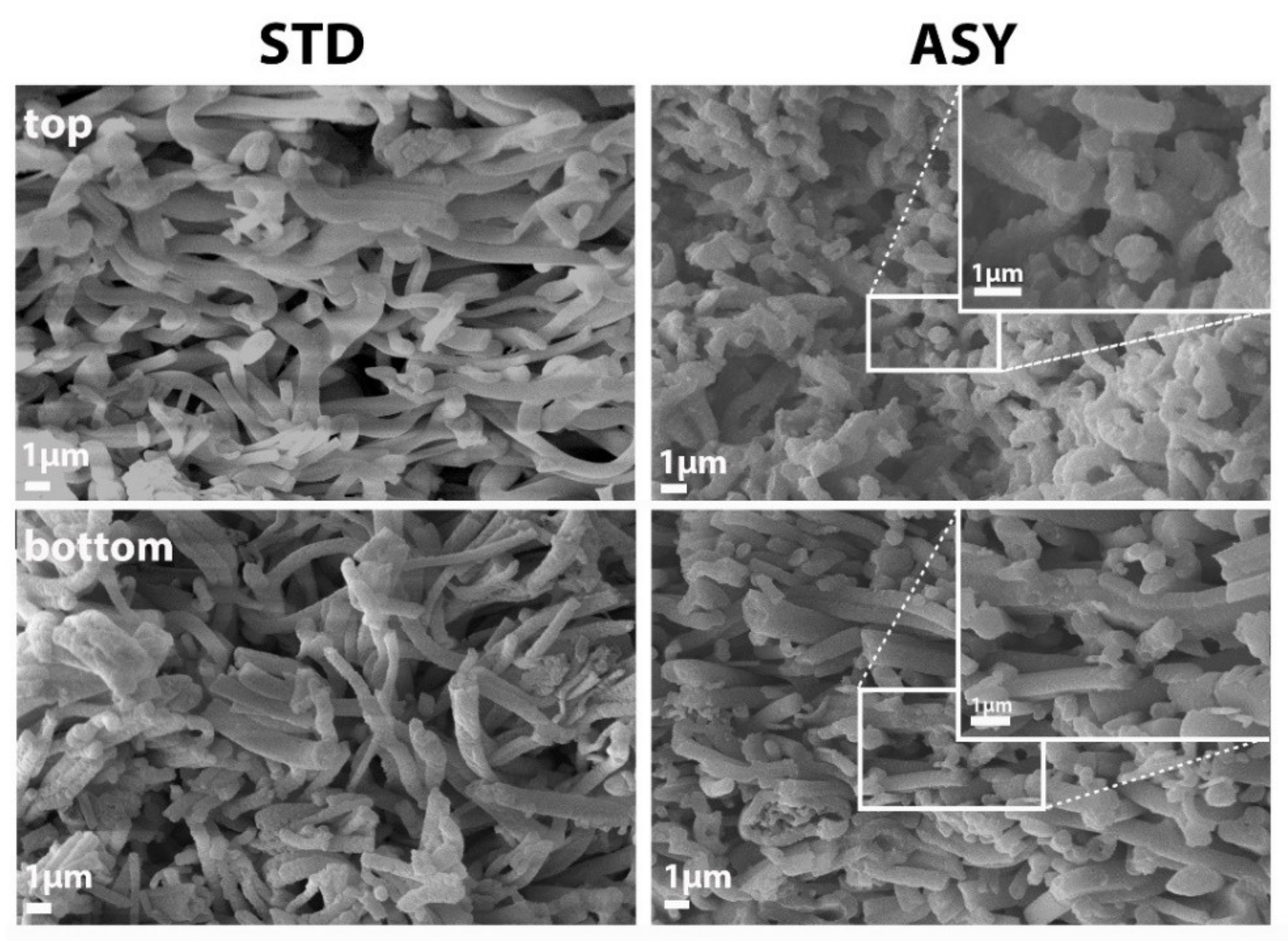 Nanomaterials 12 04165 g007 Nanomaterials 12 04165 g007