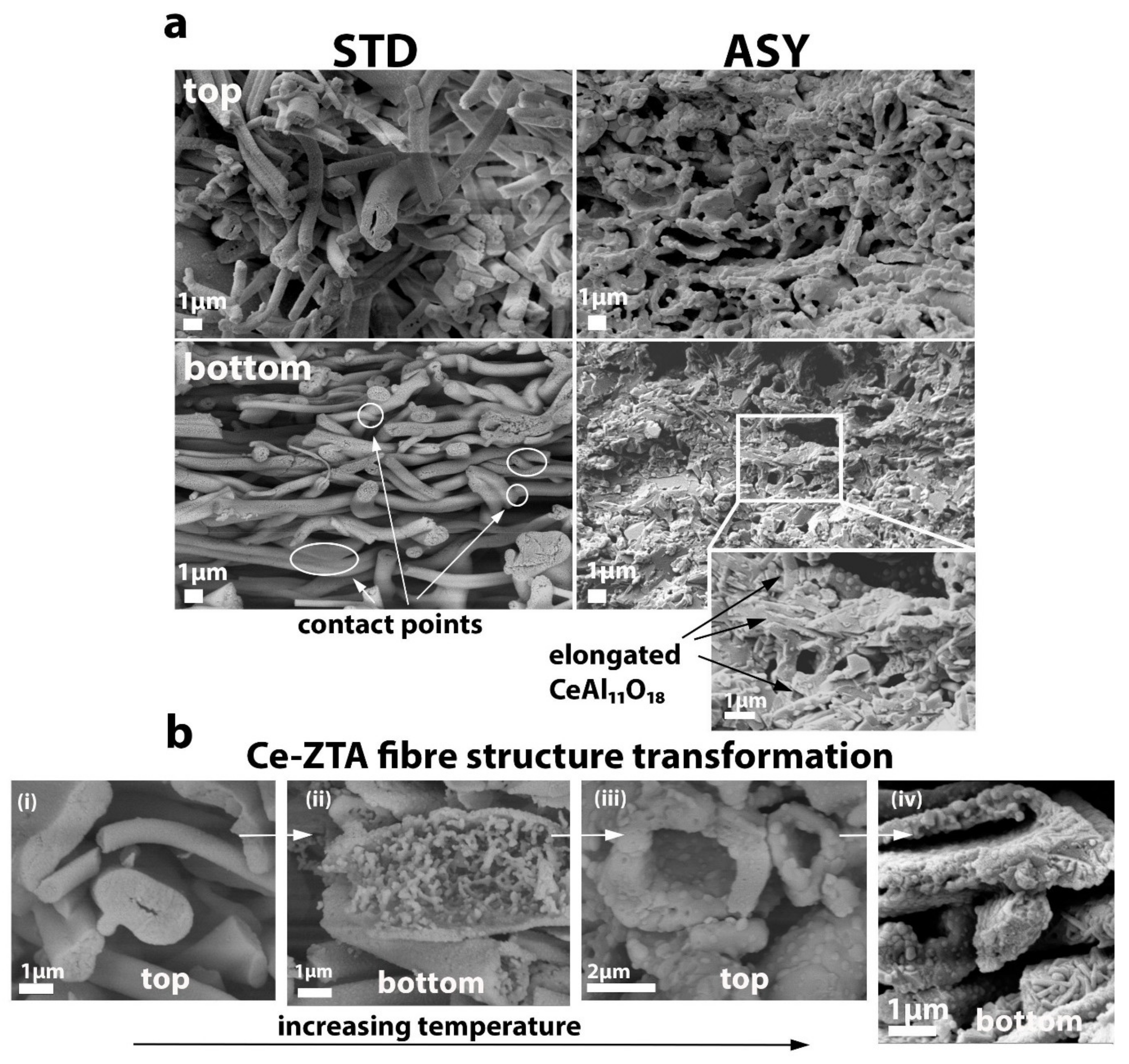 Nanomaterials 12 04165 g008 Nanomaterials 12 04165 g008