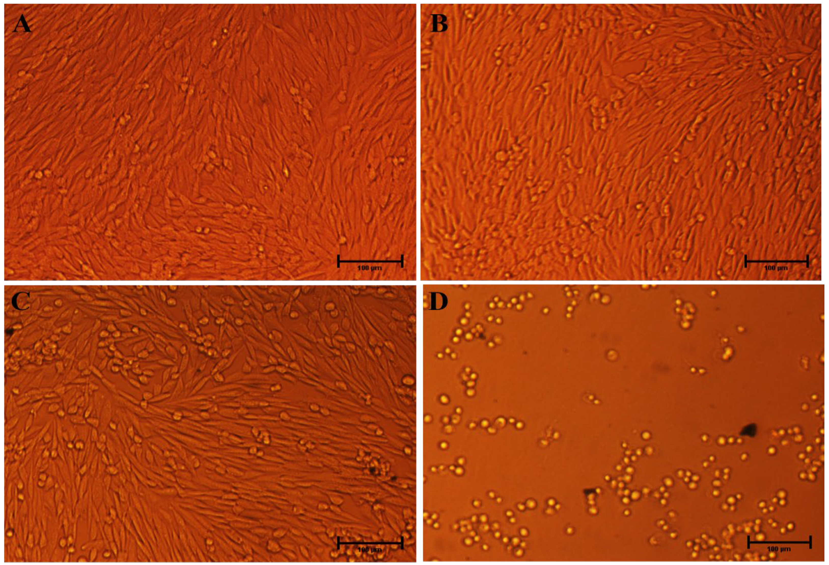 Nanomaterials 12 04167 g010 Nanomaterials 12 04167 g010