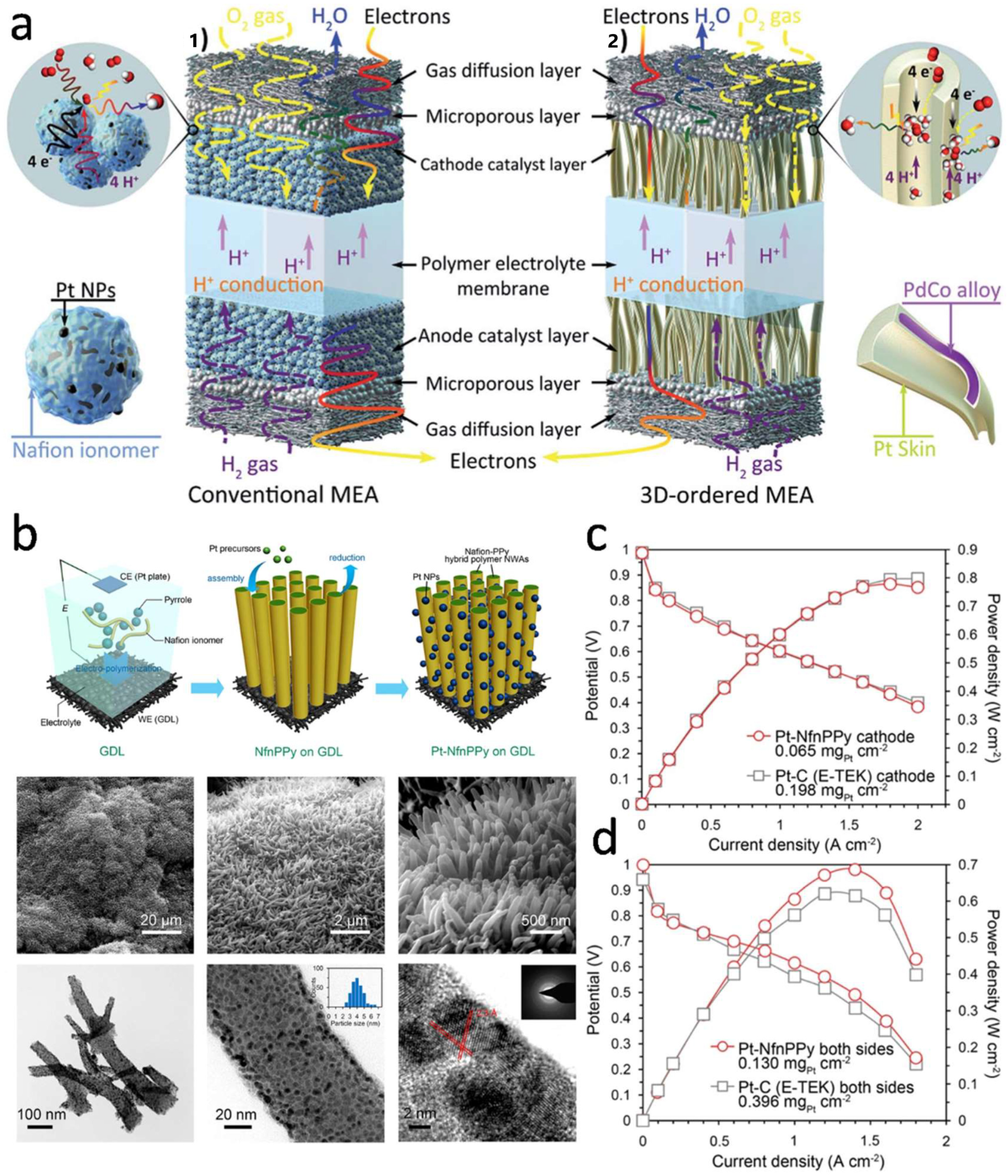 Nanomaterials 12 04173 g011 Nanomaterials 12 04173 g011