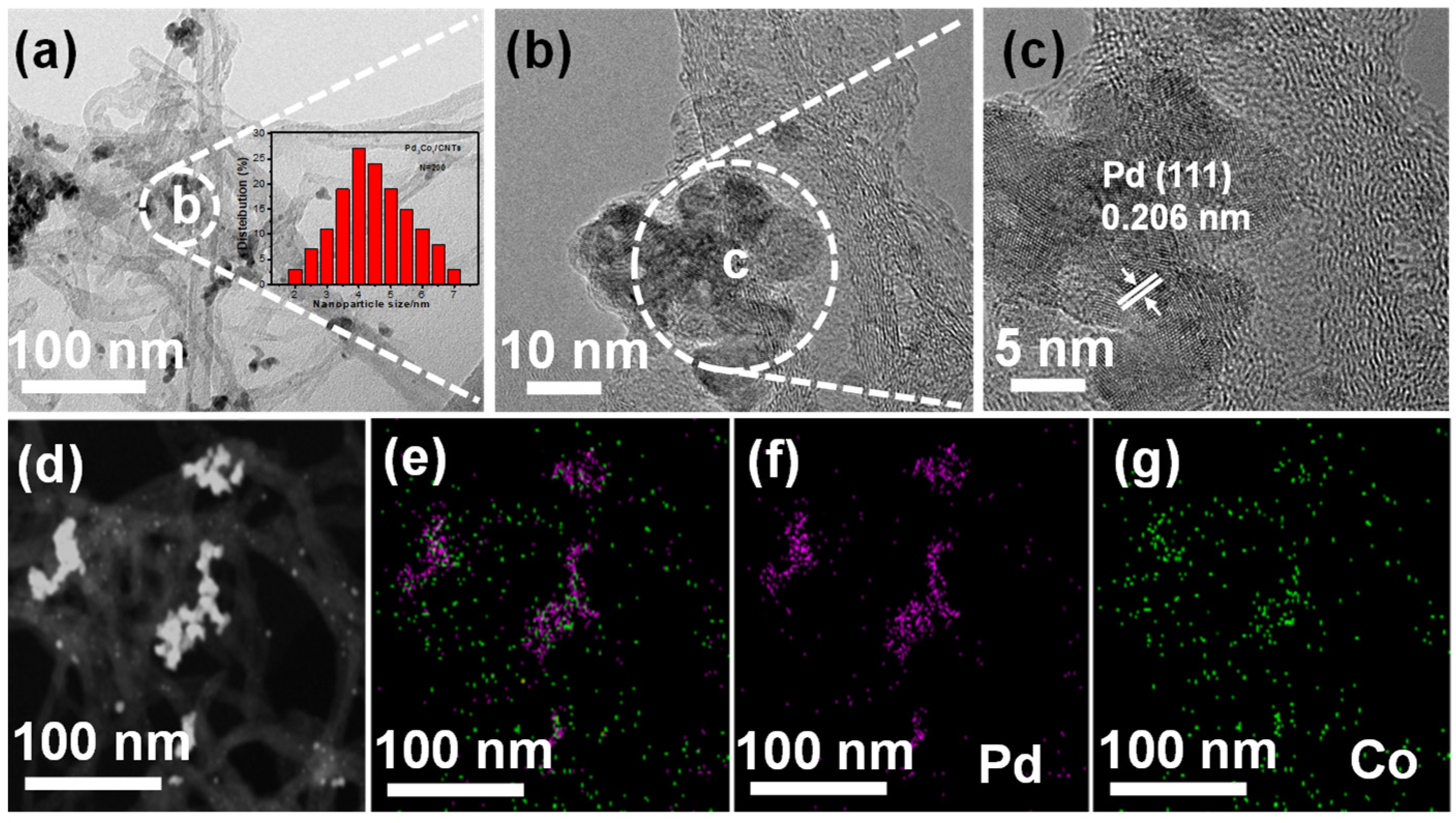 Nanomaterials 12 04182 g002
