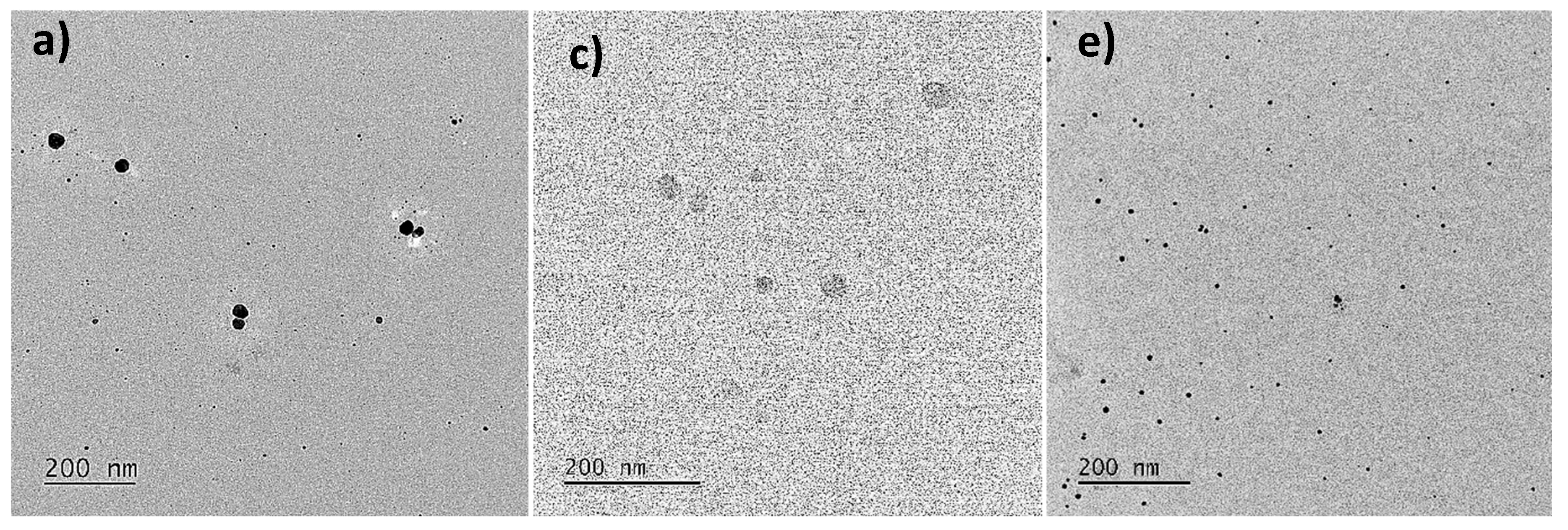 Nanomaterials 12 04184 g005a Nanomaterials 12 04184 g005a