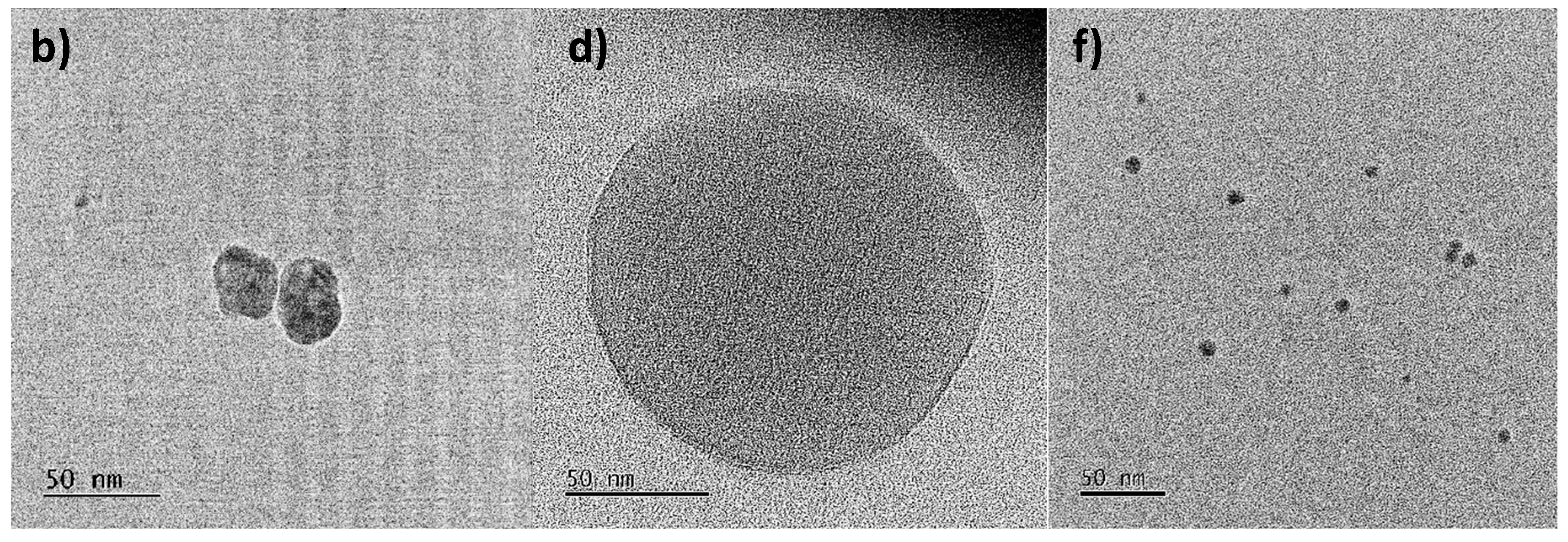 Nanomaterials 12 04184 g005b Nanomaterials 12 04184 g005b
