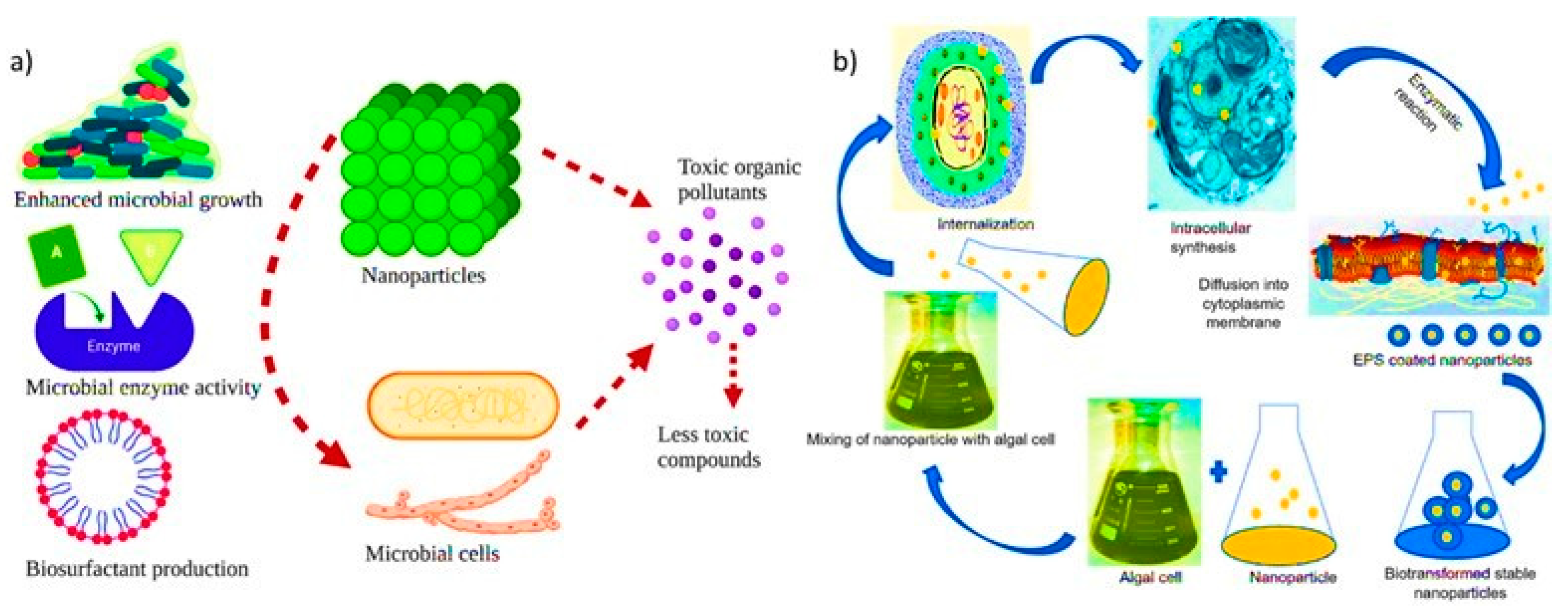 Exploring Microbial-Based Green Nanobiotechnology for
