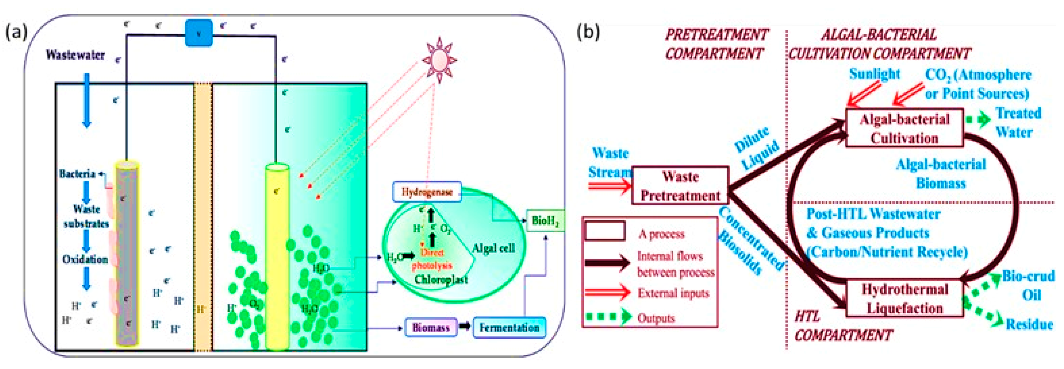 Exploring Microbial-Based Green Nanobiotechnology for