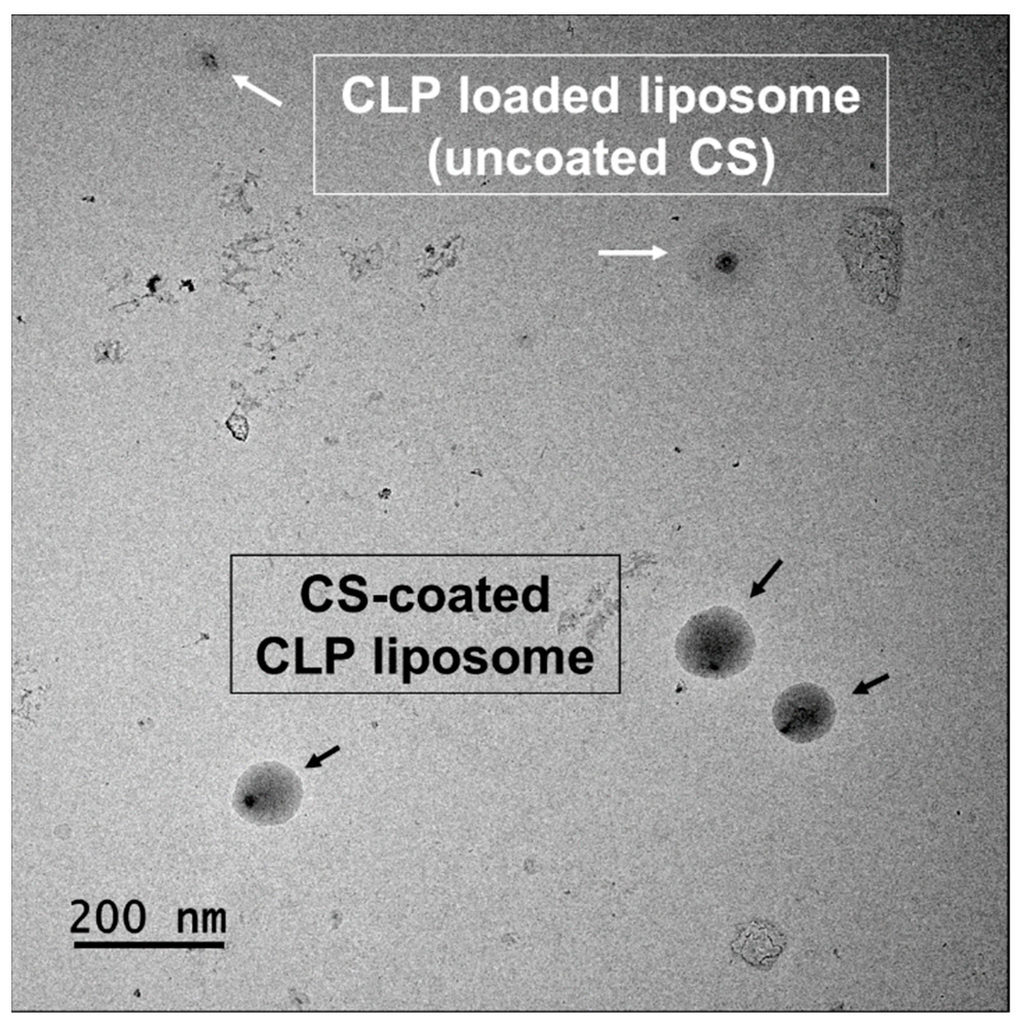 Nanomaterials 12 04189 g002 Nanomaterials 12 04189 g002