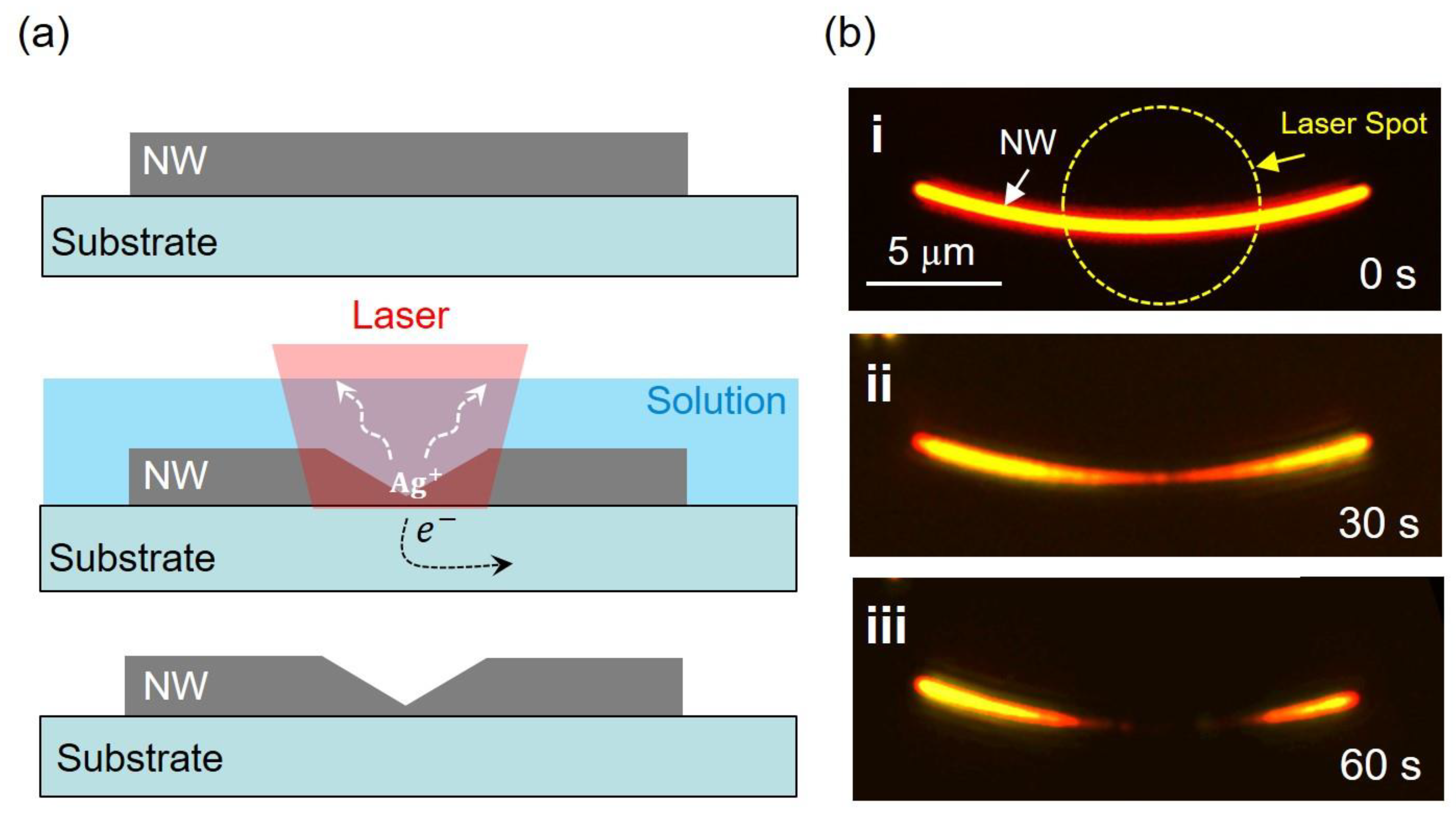 Nanomaterials 12 04195 g001 Nanomaterials 12 04195 g001
