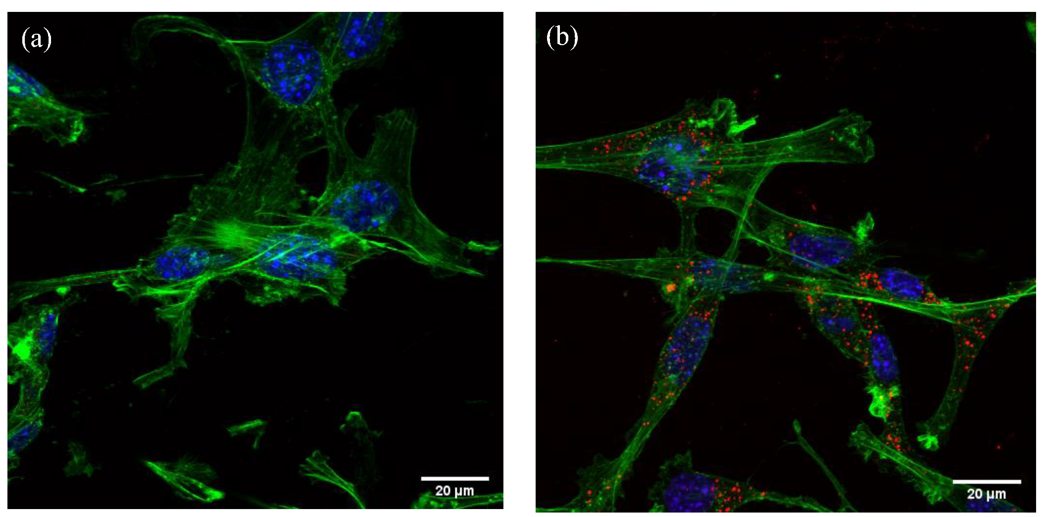 Nanomaterials 12 04196 g010 Nanomaterials 12 04196 g010