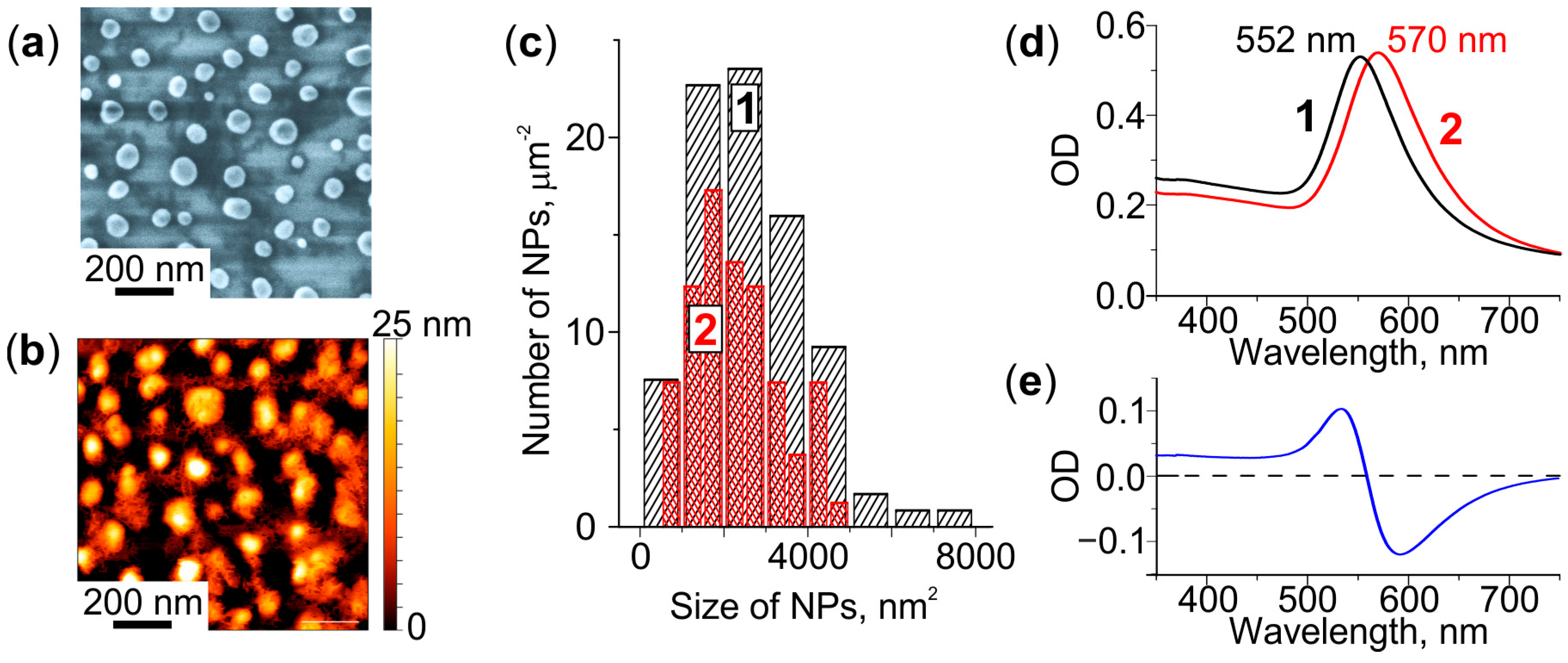 Nanomaterials 12 04202 g001