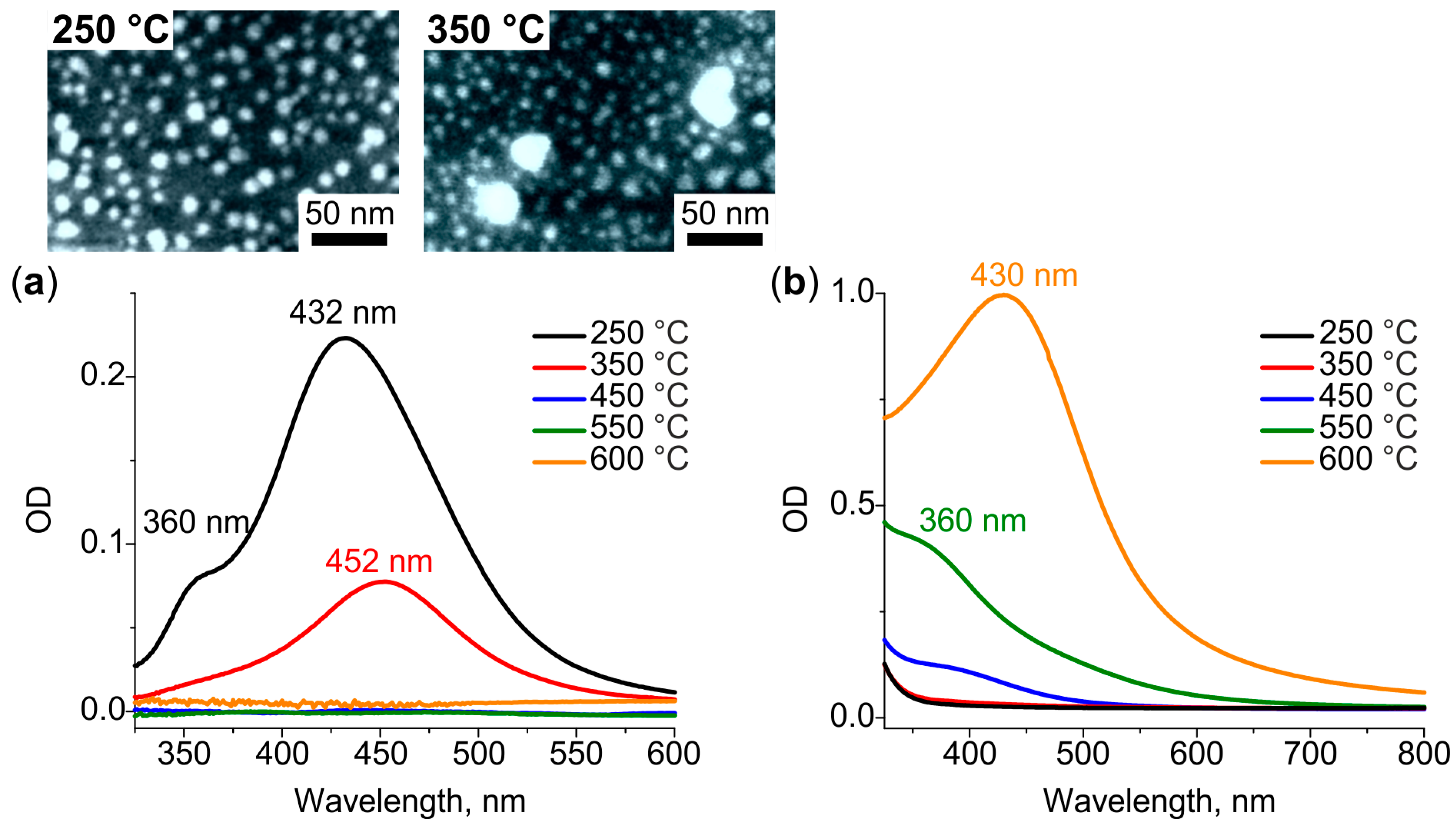 Nanomaterials 12 04202 g002