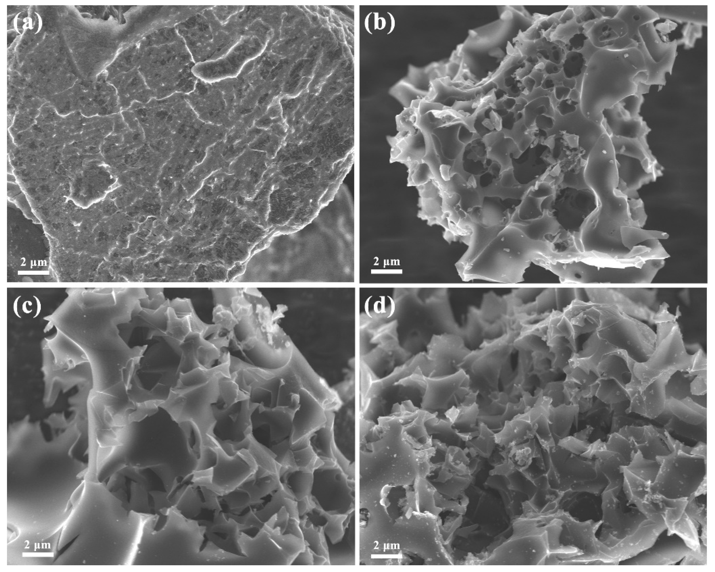 Nanomaterials 12 04204 g001