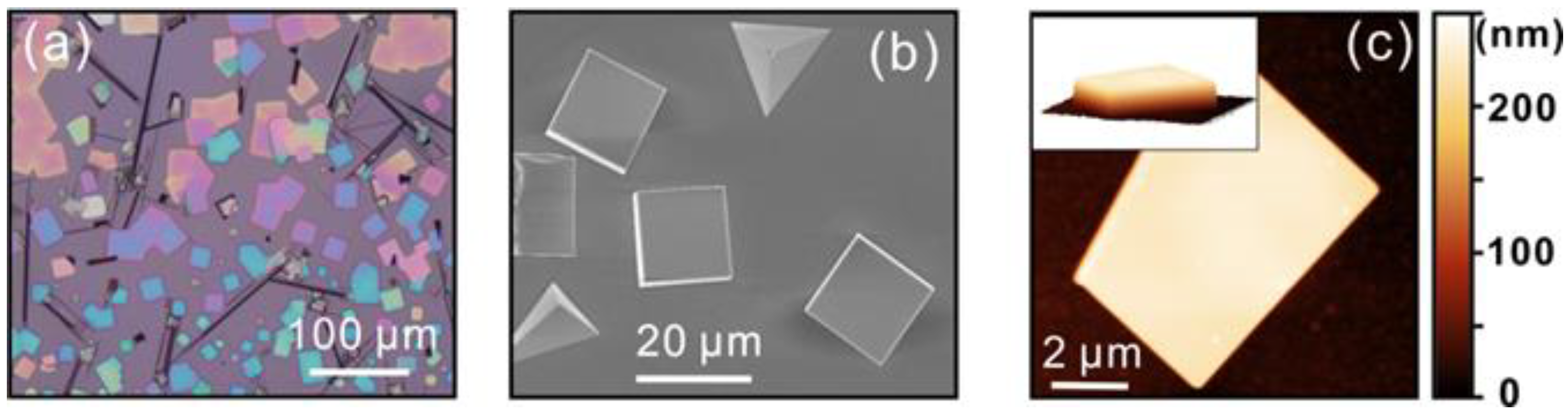 High Responsivity Vacuum Nano-Photodiode Using Single