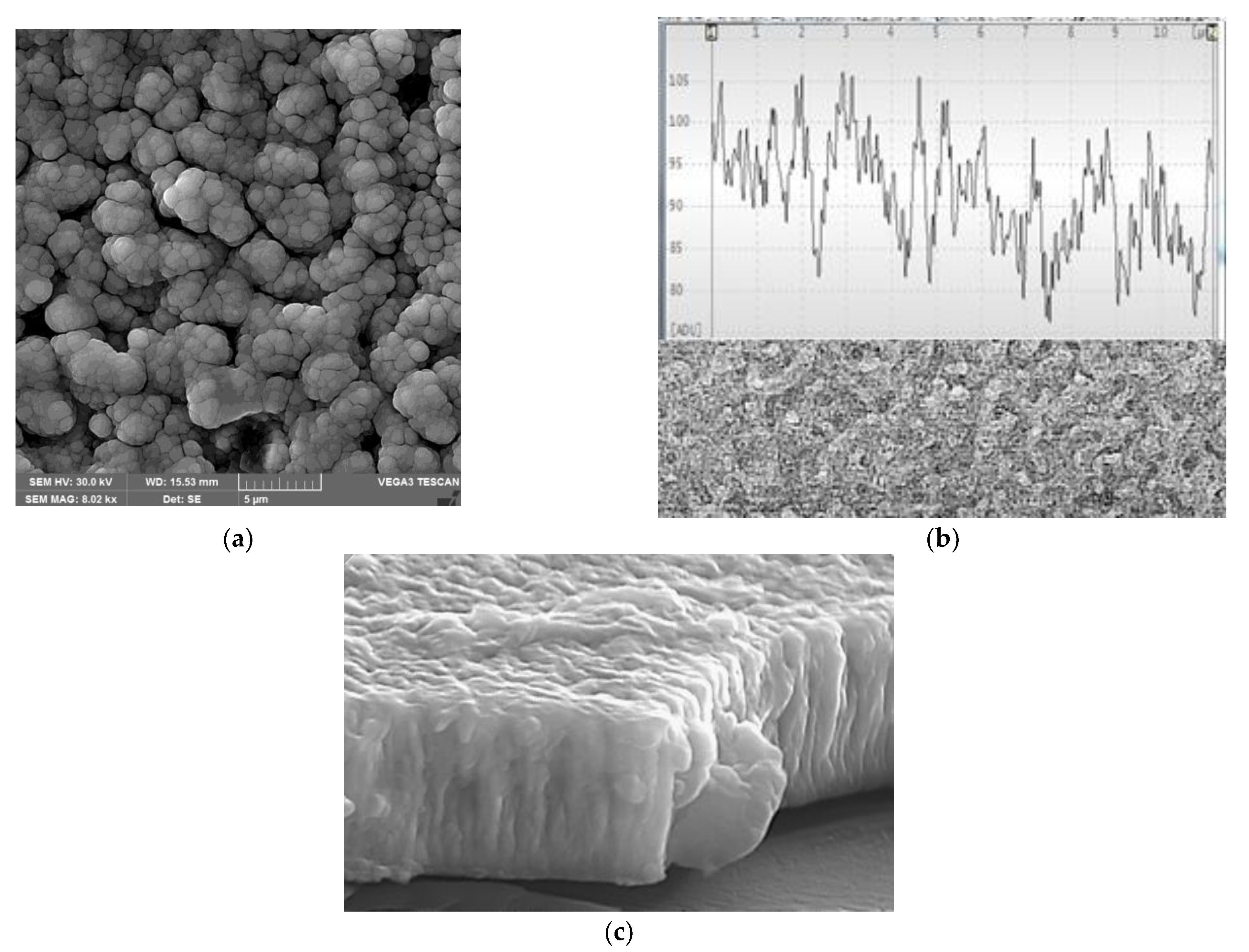 Nanomaterials 12 04207 g007