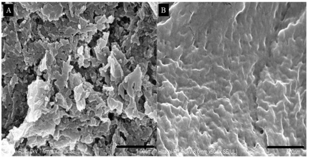 Nanomaterials 12 04211 g006 Nanomaterials 12 04211 g006