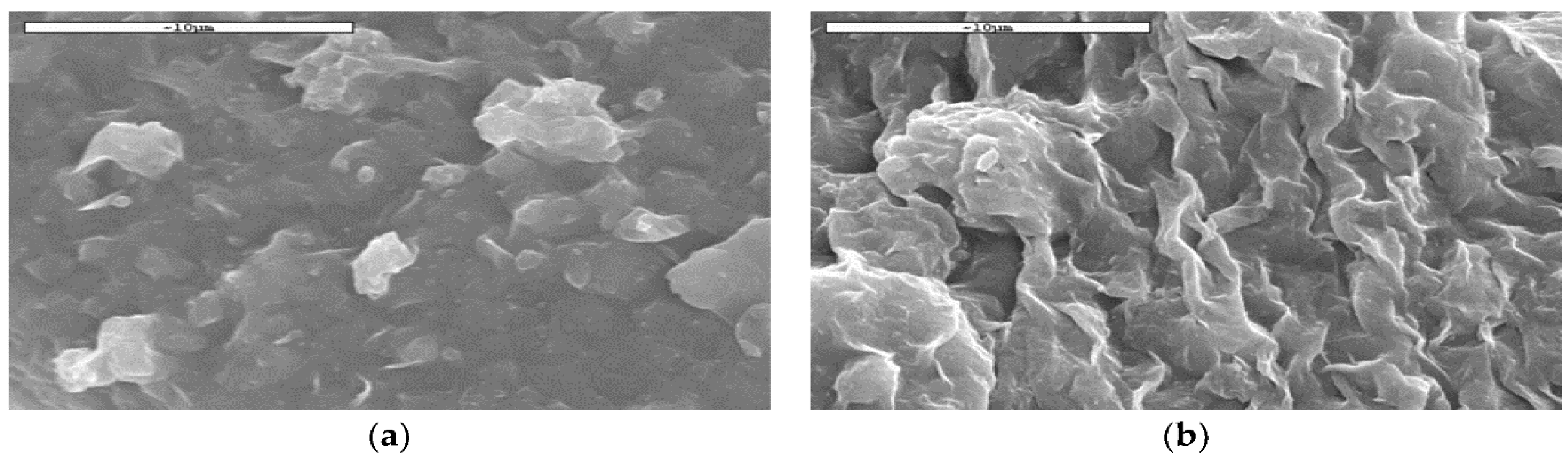 Nanomaterials 12 04214 g004