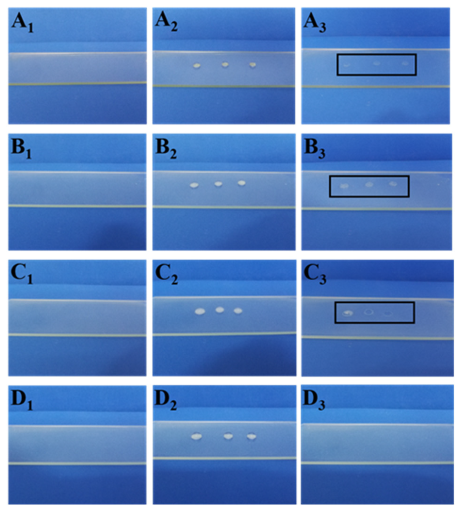 Nanomaterials 12 04216 g010 Nanomaterials 12 04216 g010