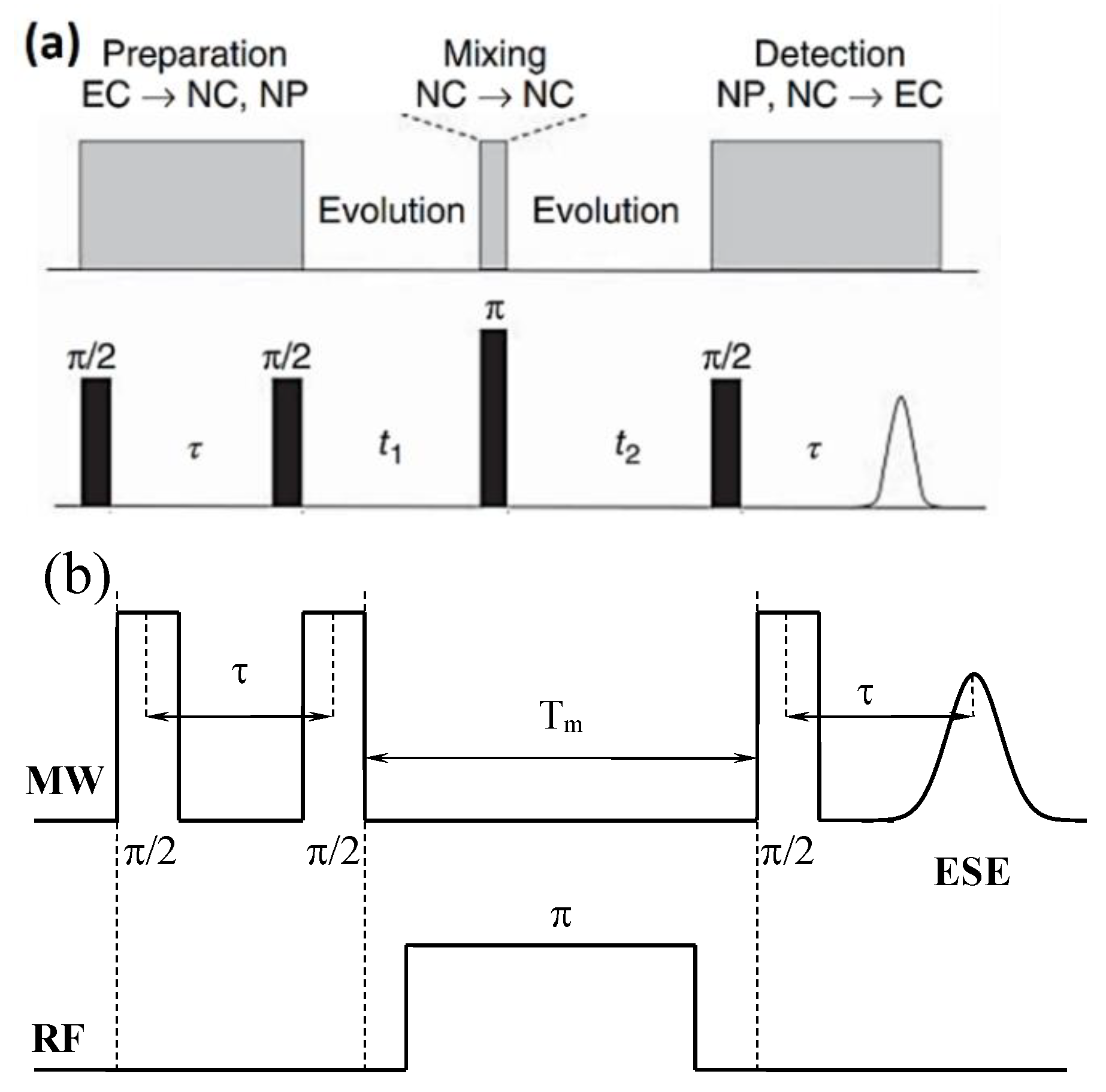 Nanomaterials 12 04218 g001 Nanomaterials 12 04218 g001