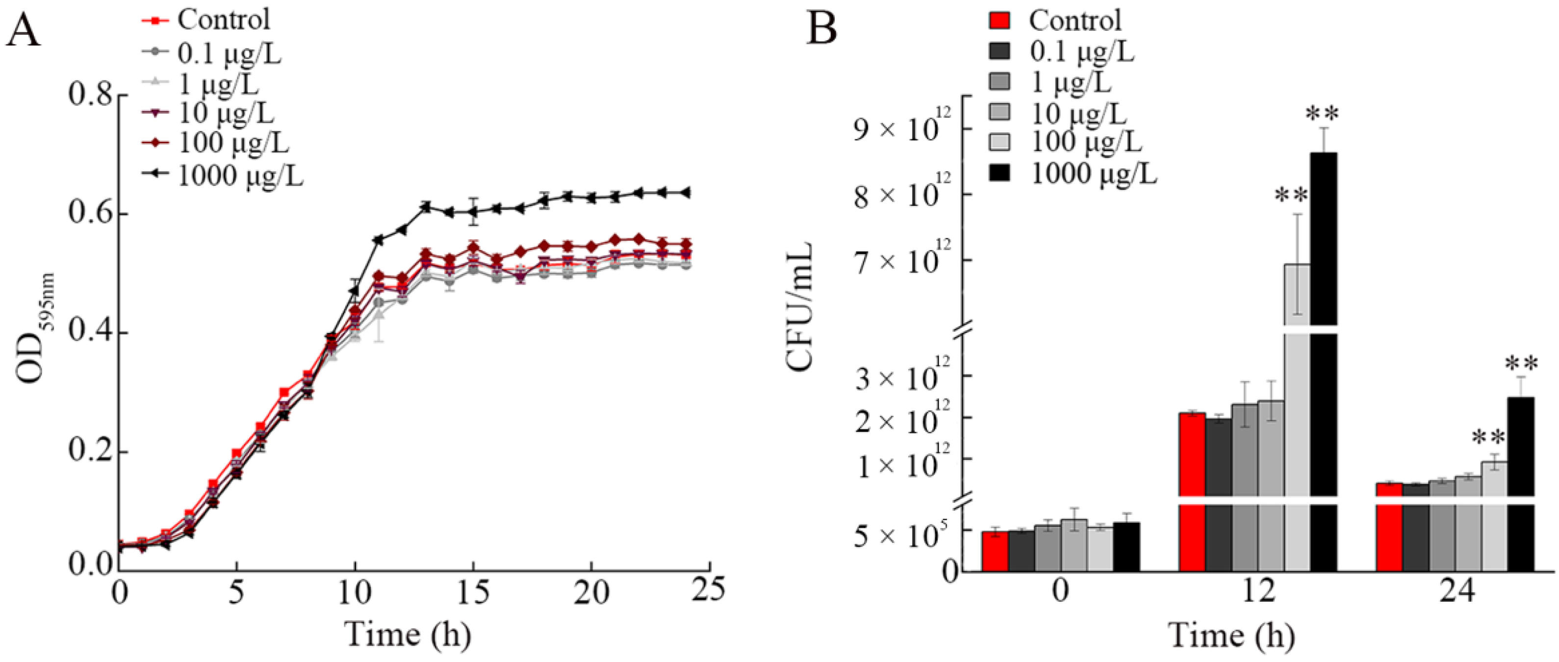 Nanomaterials 12 04222 g003 Nanomaterials 12 04222 g003